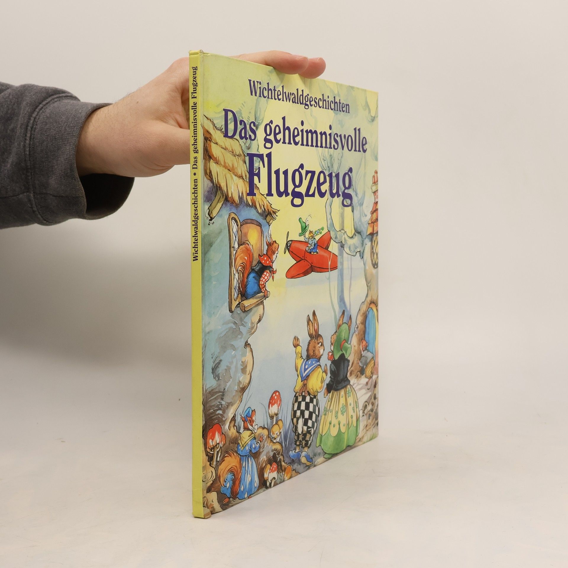 Rene Cloke Das geheimnisvolle Flugzeug