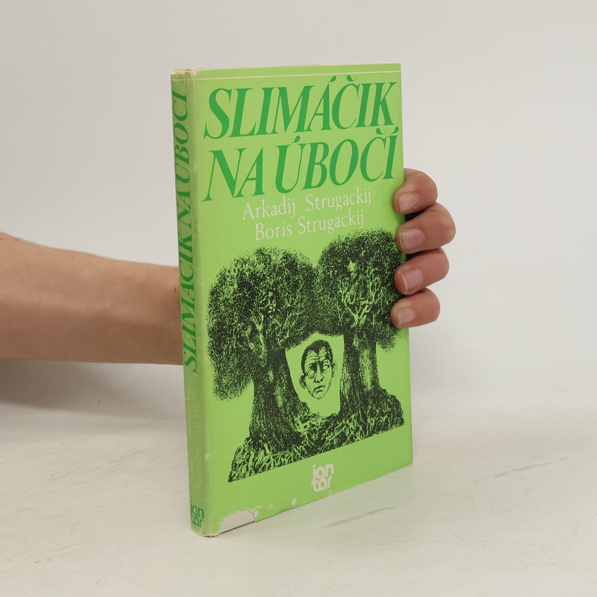 Slimáčik na úbočí