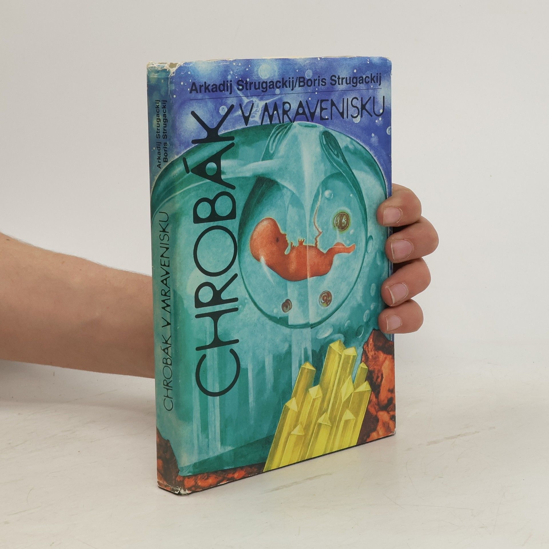 Chrobák v mravenisku