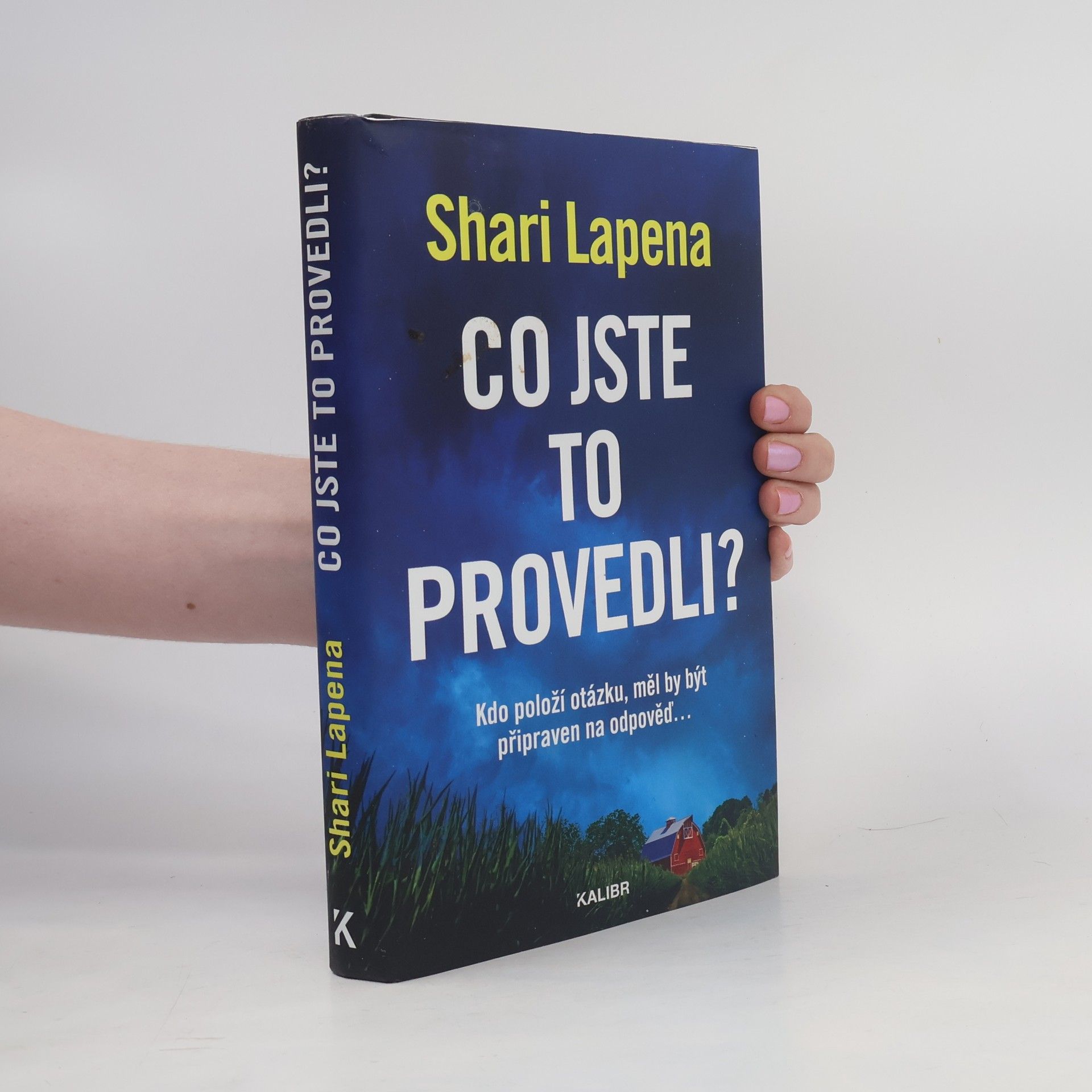 Shari Lapena Co jste to provedli?