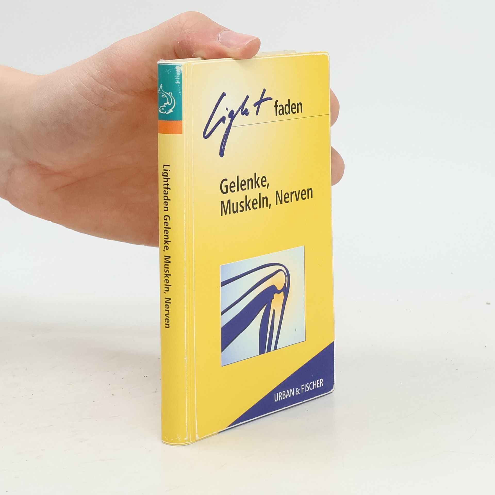 Autores varios Lightfaden Gelenke, Muskeln, Nerven