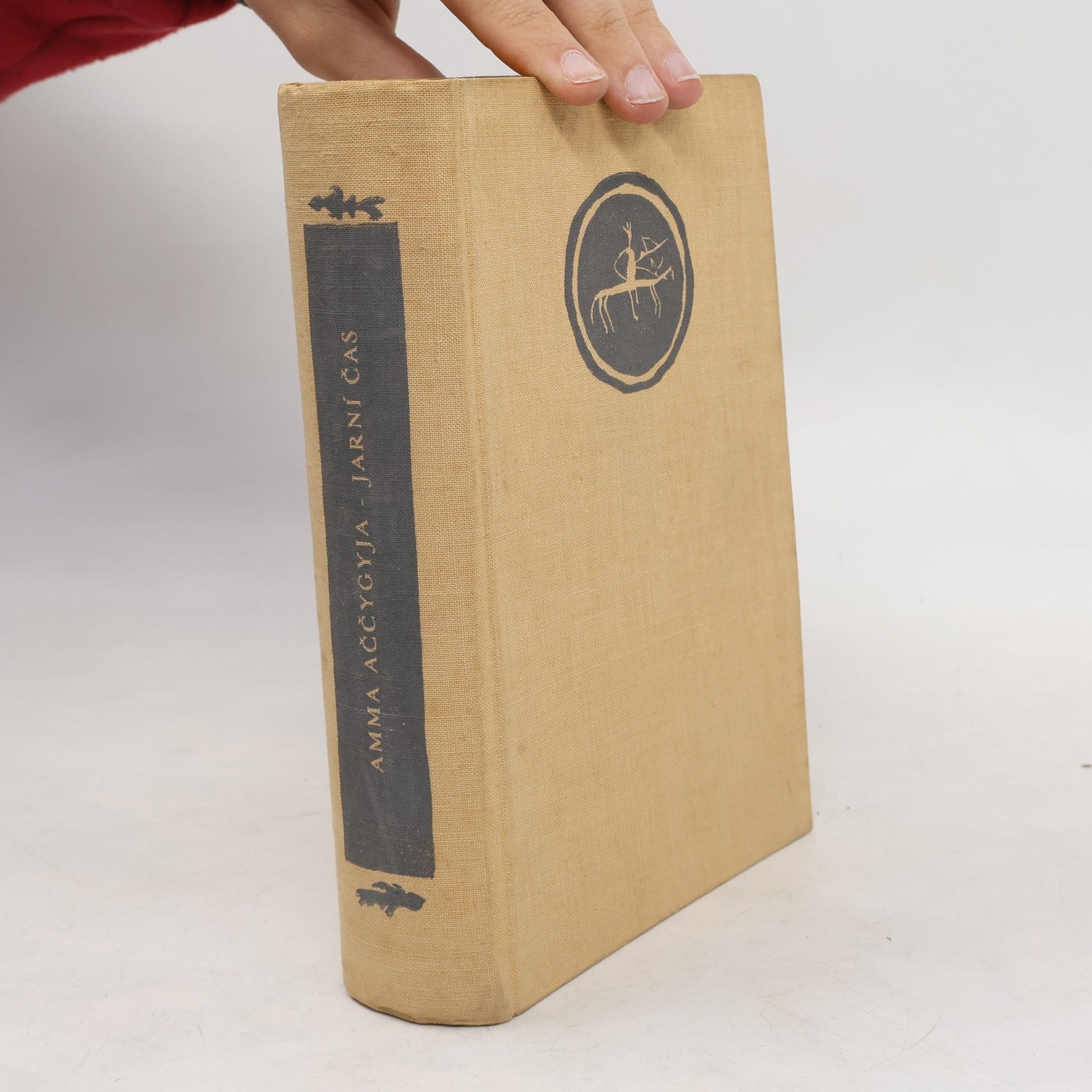 Amma Aččygyja Jarní čas