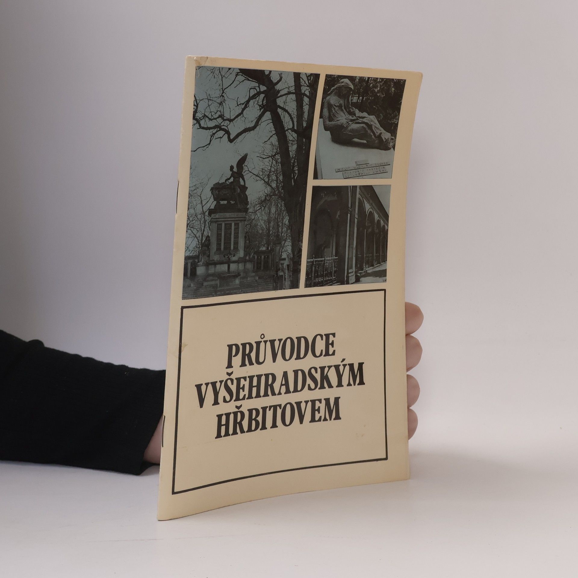 Bořivoj Nechvátal Průvodce vyšehradským hřbitovem