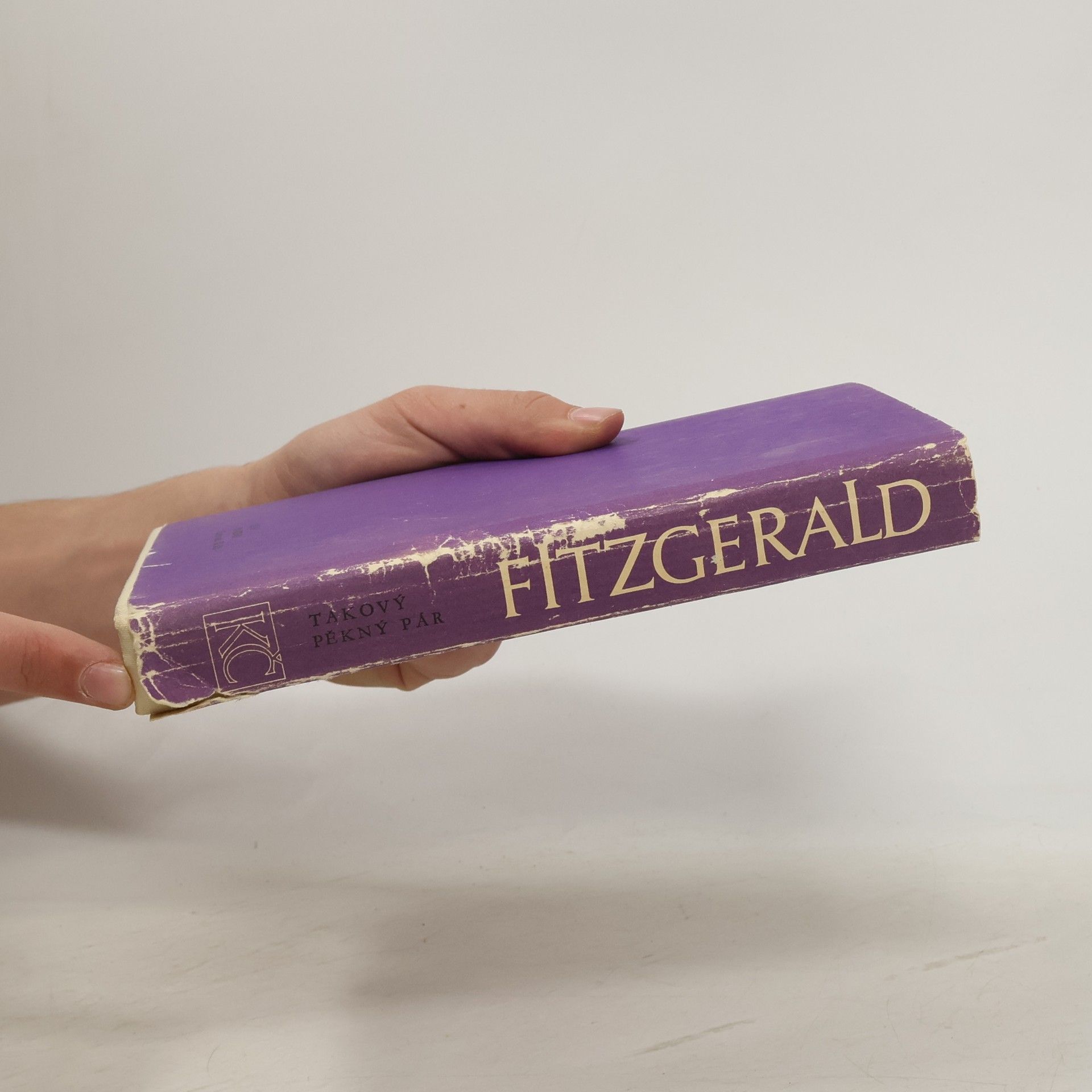 Francis Scott Fitzgerald Takový pěkný pár a jiné povídky