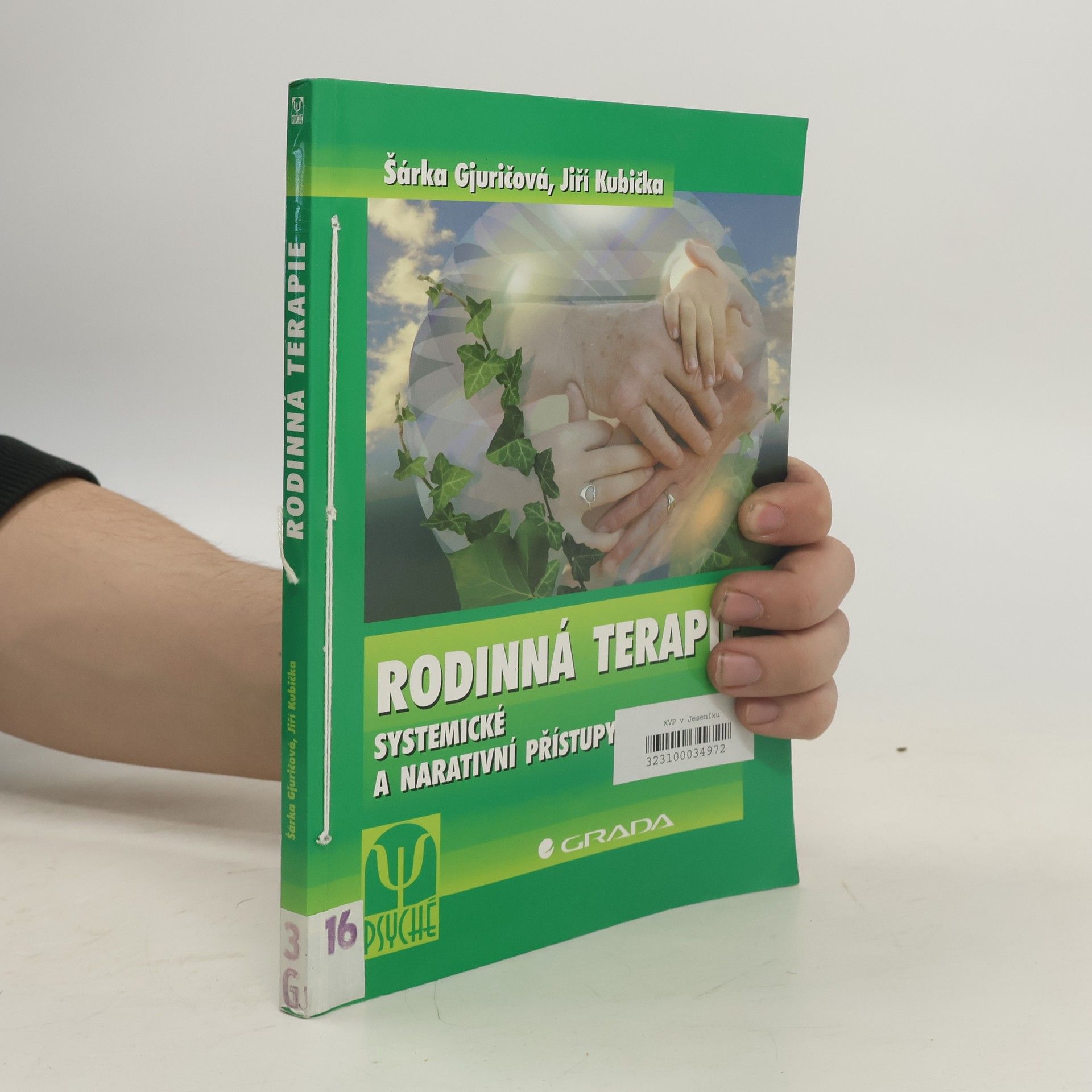 Rodinná terapie : systemické a narativní přístupy