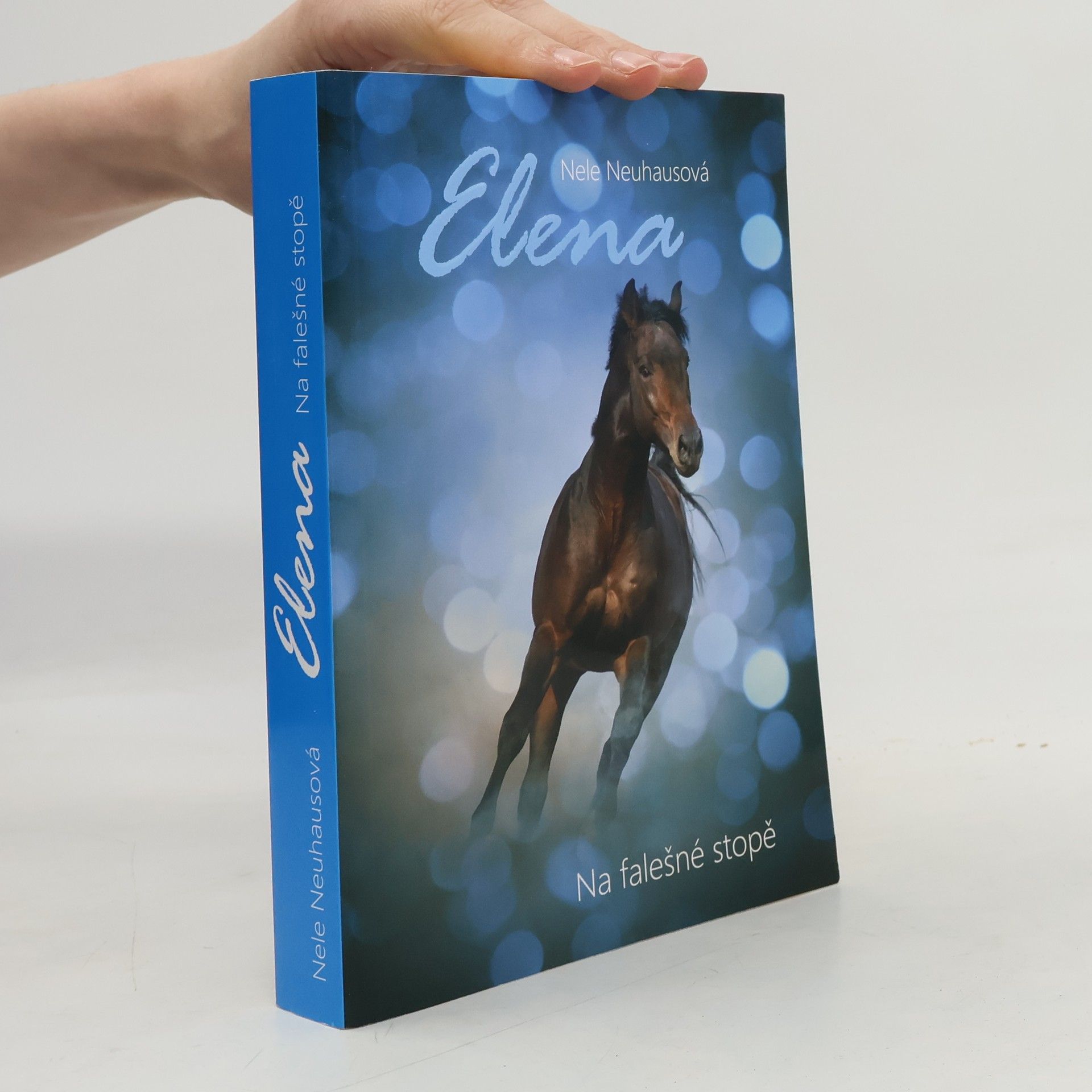 Nele Neuhaus Na falešné stopě