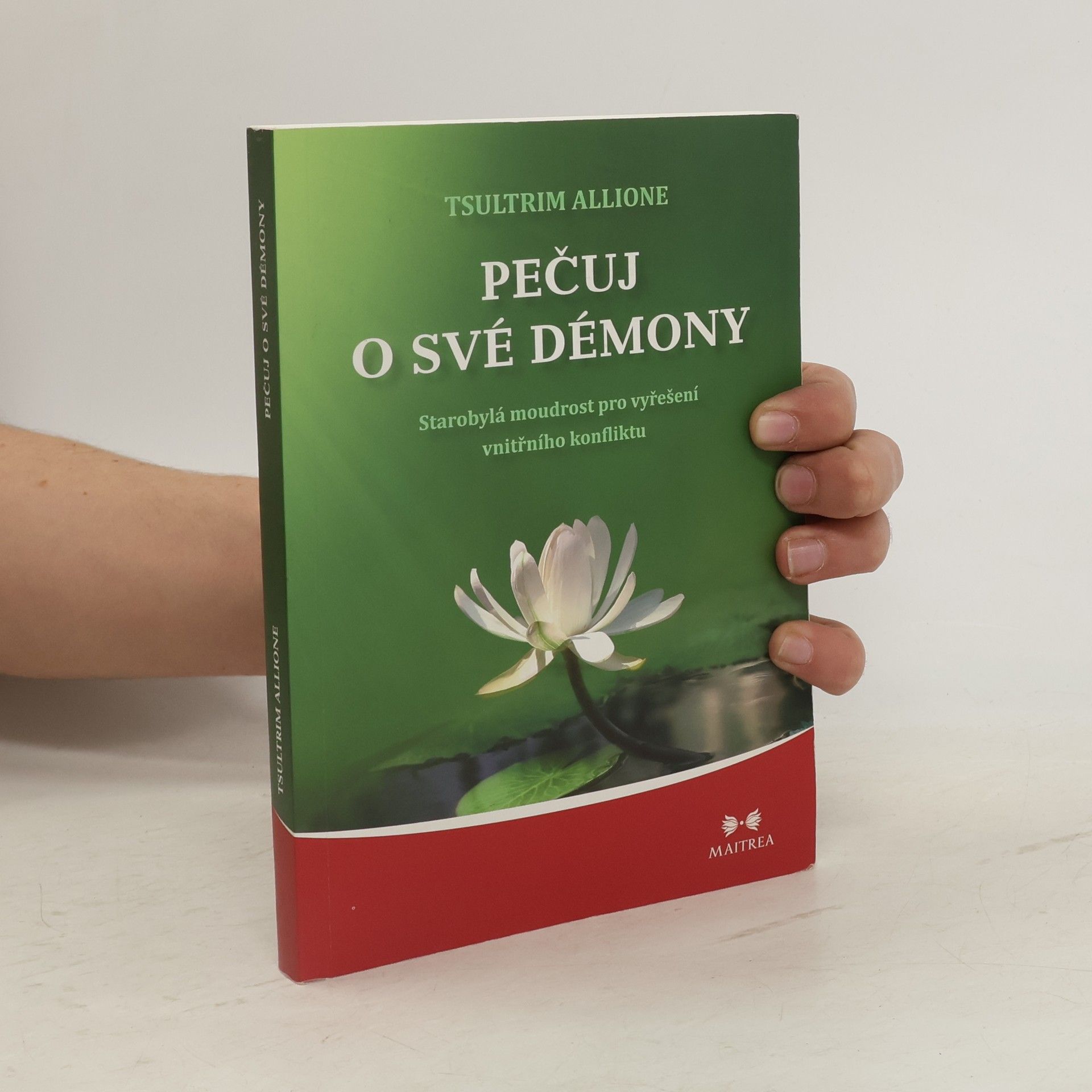 Tsultrim Allione Pečuj o své démony. Starobylá moudrost pro vyřešení vnitřního konfliktu