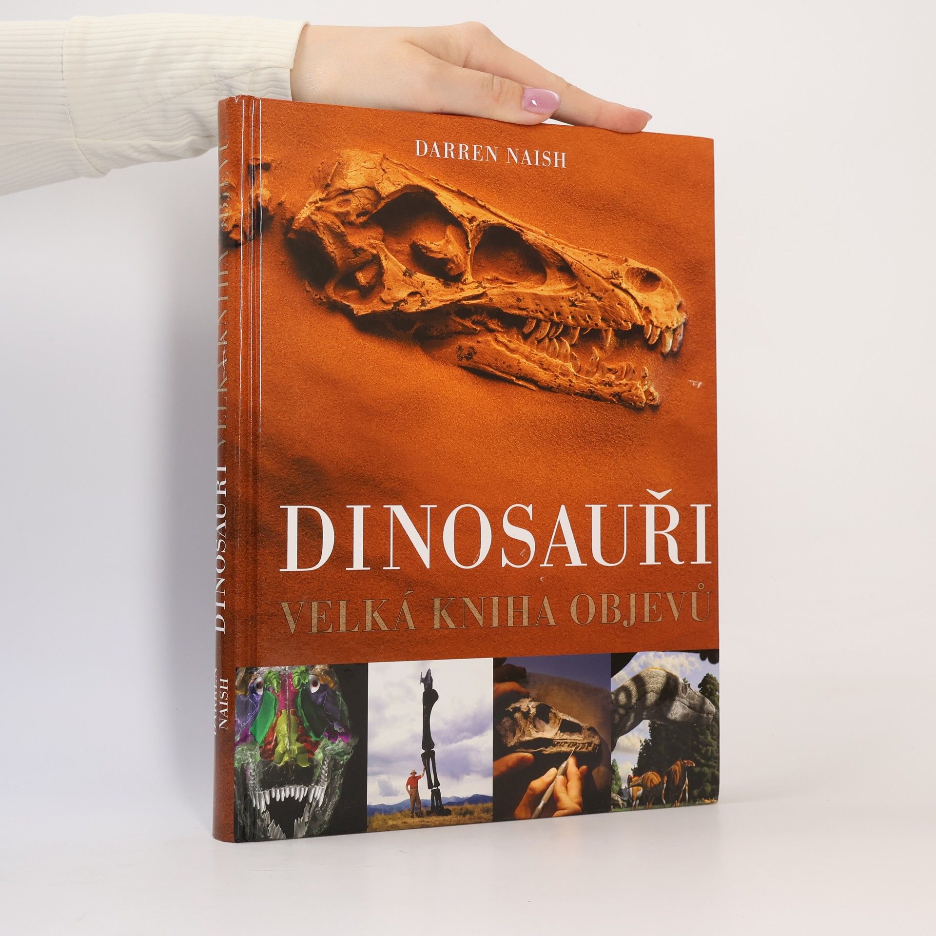 Darren Naish Dinosauři: Velká kniha objevů