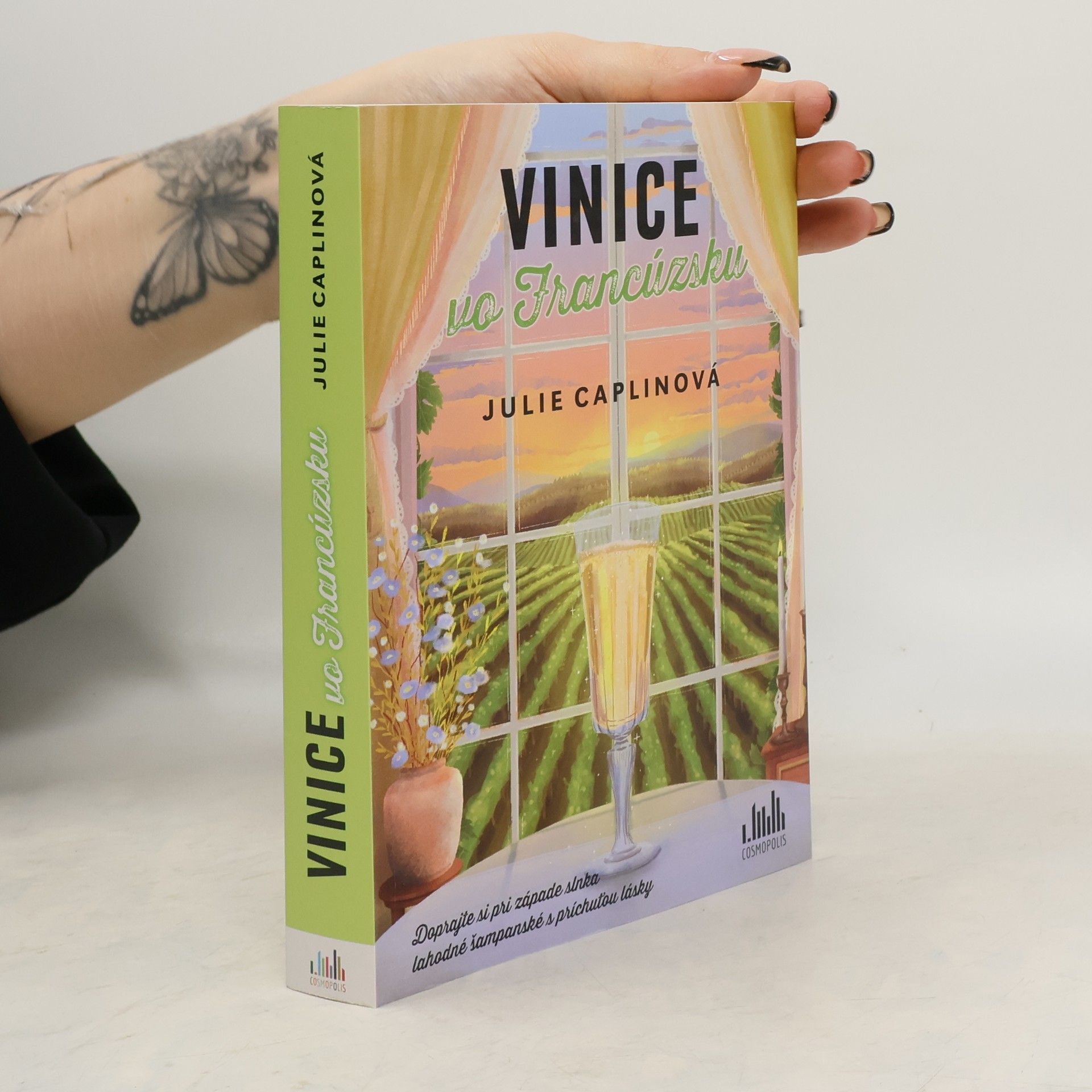 Vinice vo Francúzsku