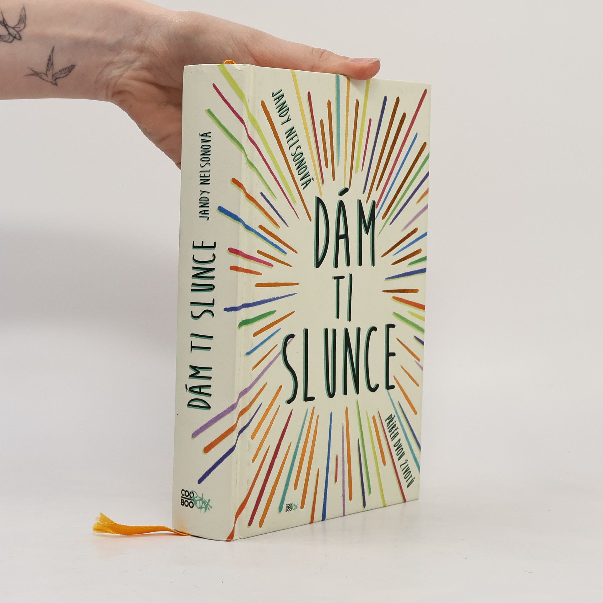 Jandy Nelson Dám ti slunce