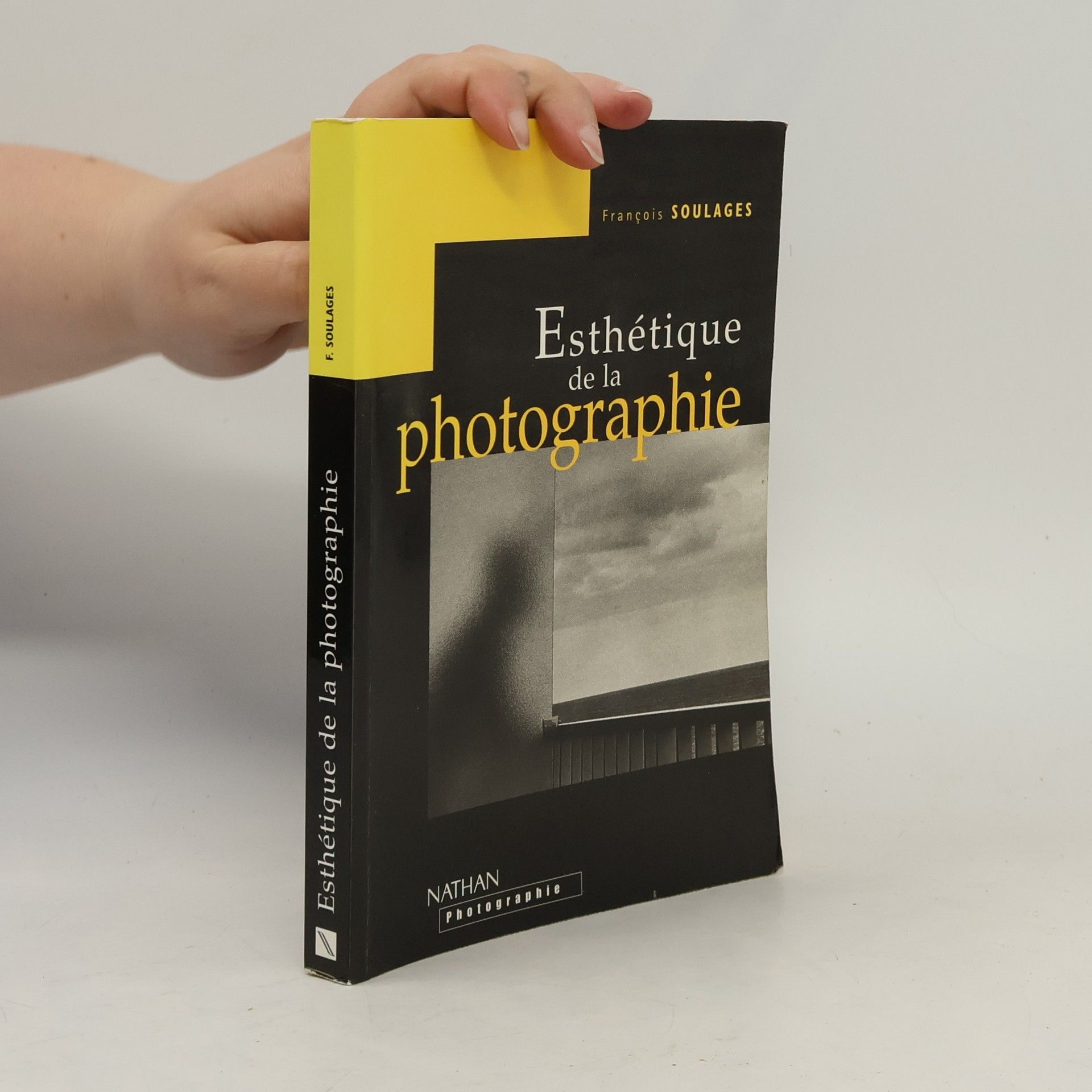 François Soulages Esthétique de la photographie