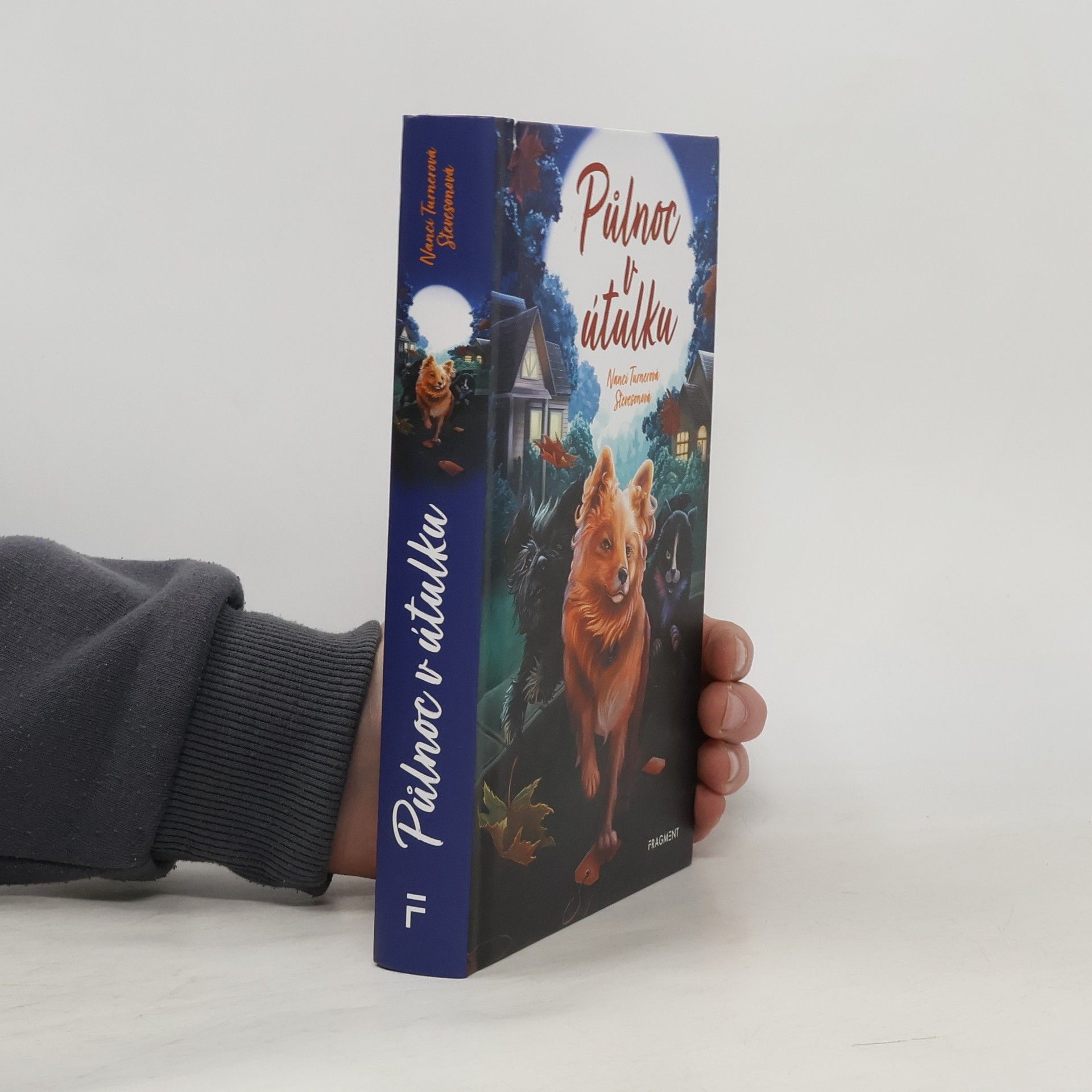 Nanci Turner Steveson Půlnoc v útulku