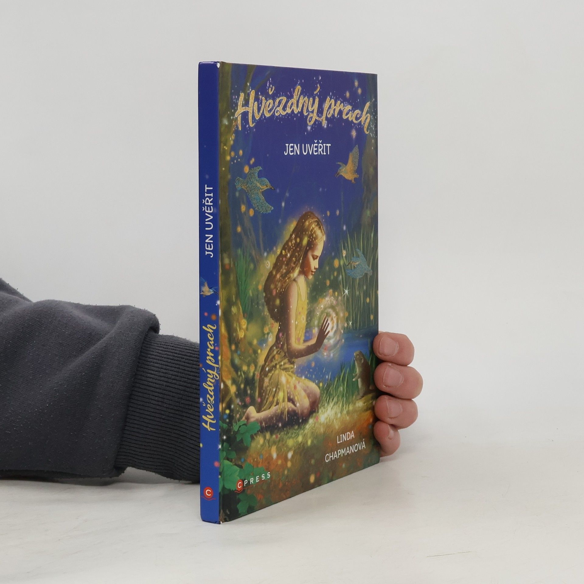 Linda Chapman Jen uvěřit