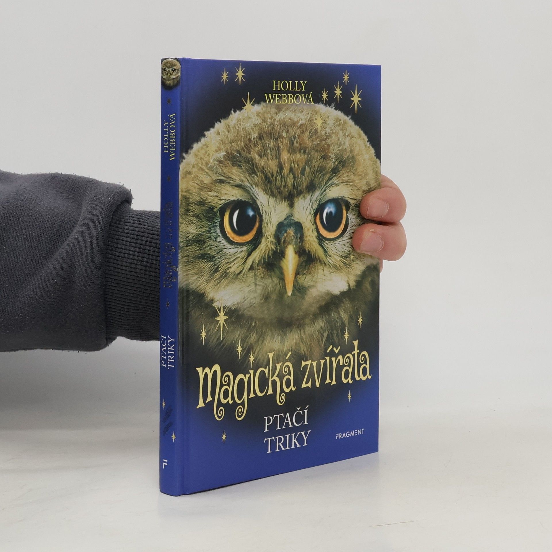 Holly Webb Ptačí triky