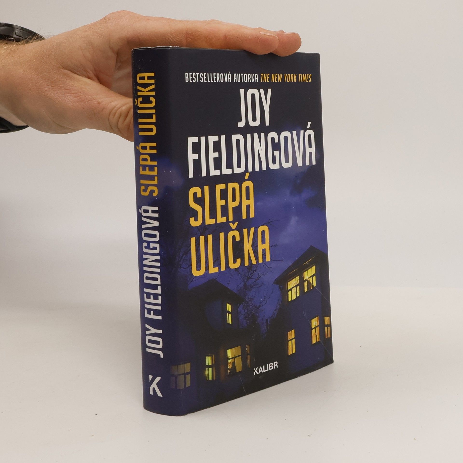 Joy Fielding Slepá ulička