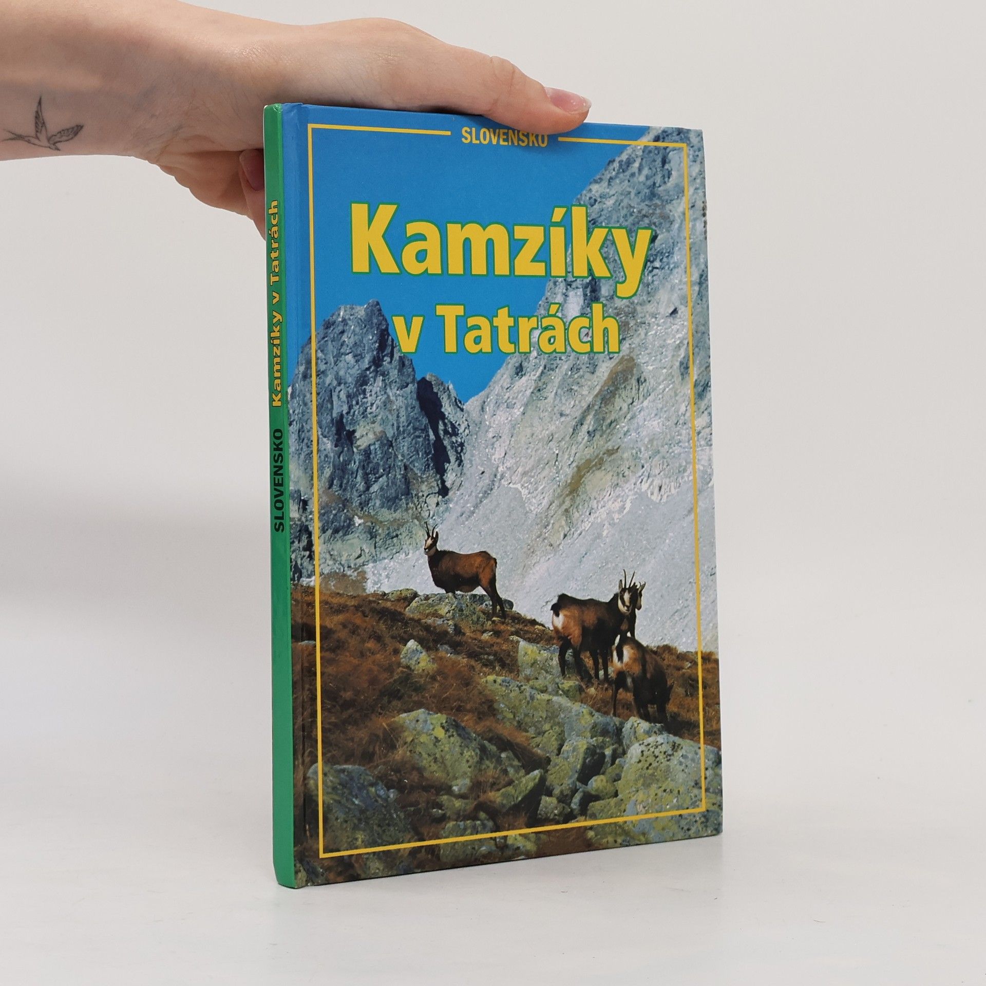 Ivor Mihál Kamzíky v Tatrách - Slovensko