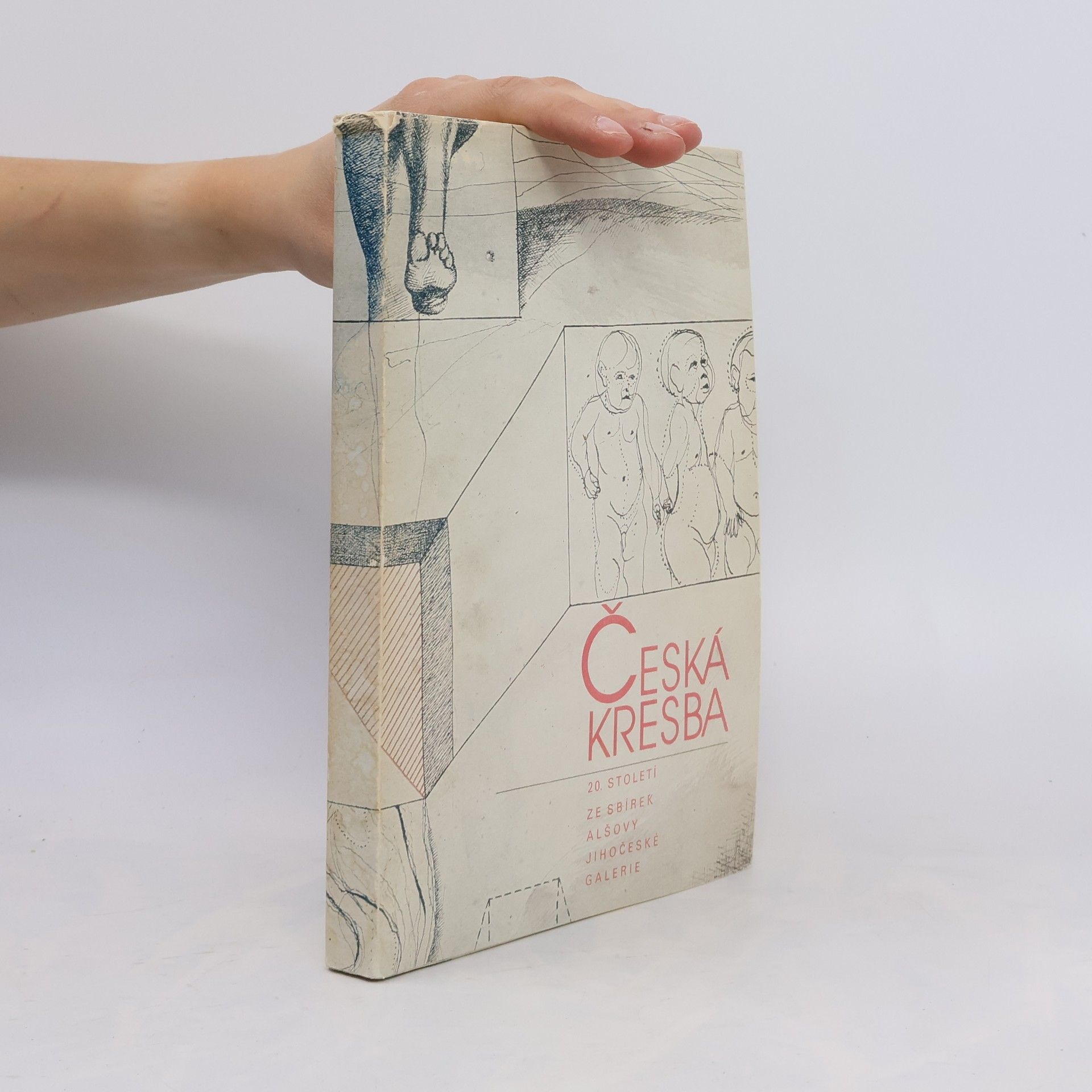 Collectif d'auteurs Česká kresba 20. století. Ze sbírek Alšovy jihočeské galerie