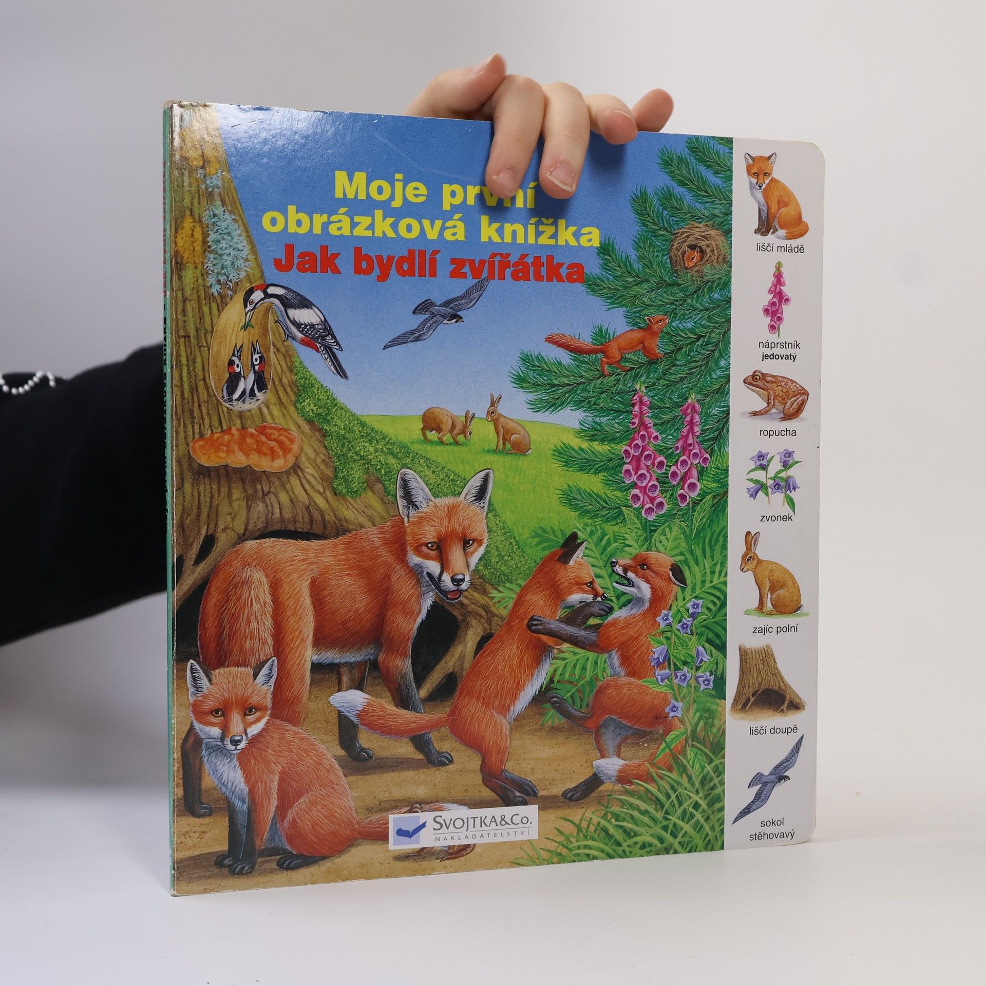 Moje první obrázková knížka: Jak bydlí zvířátka