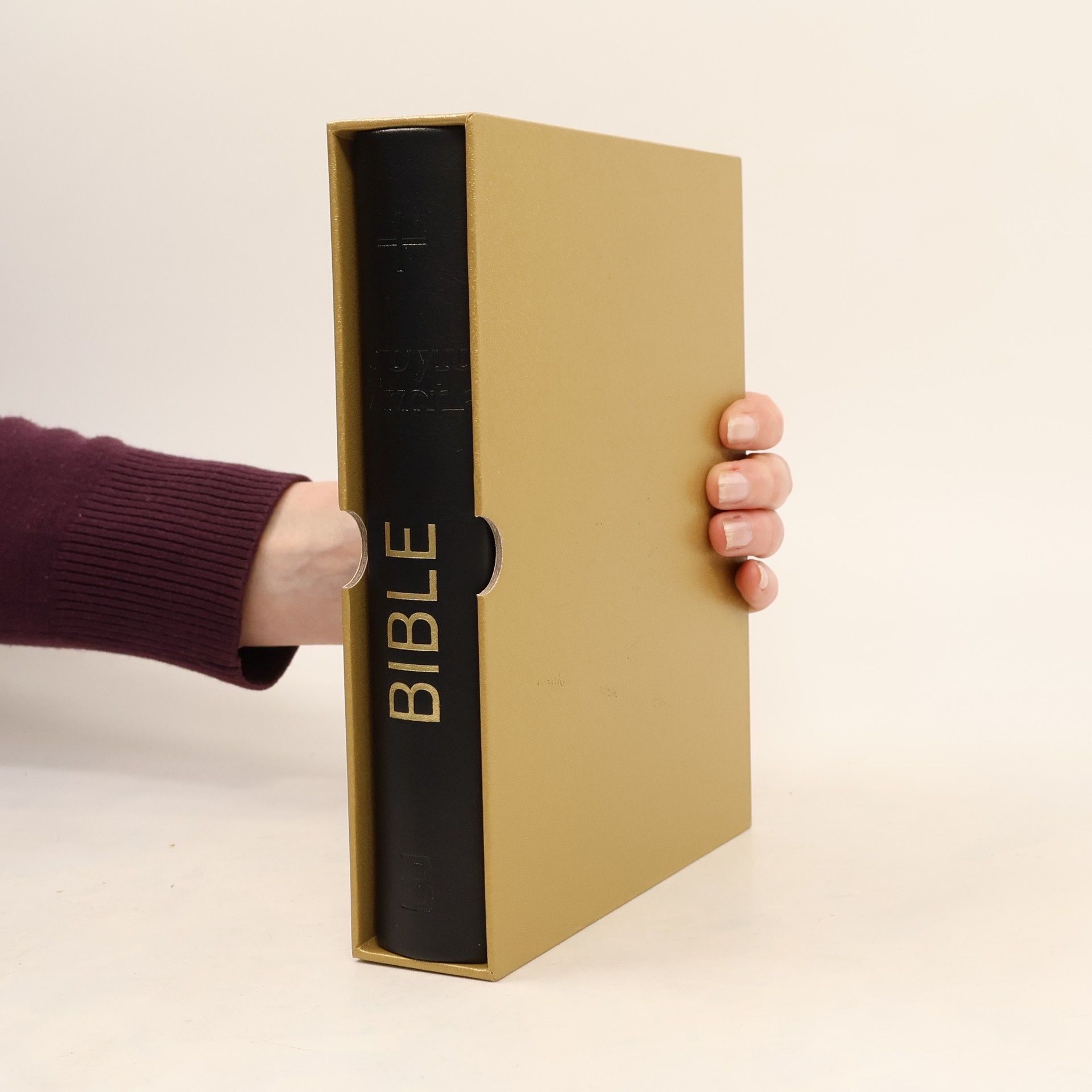 Kolektiv autorů Holy Bible