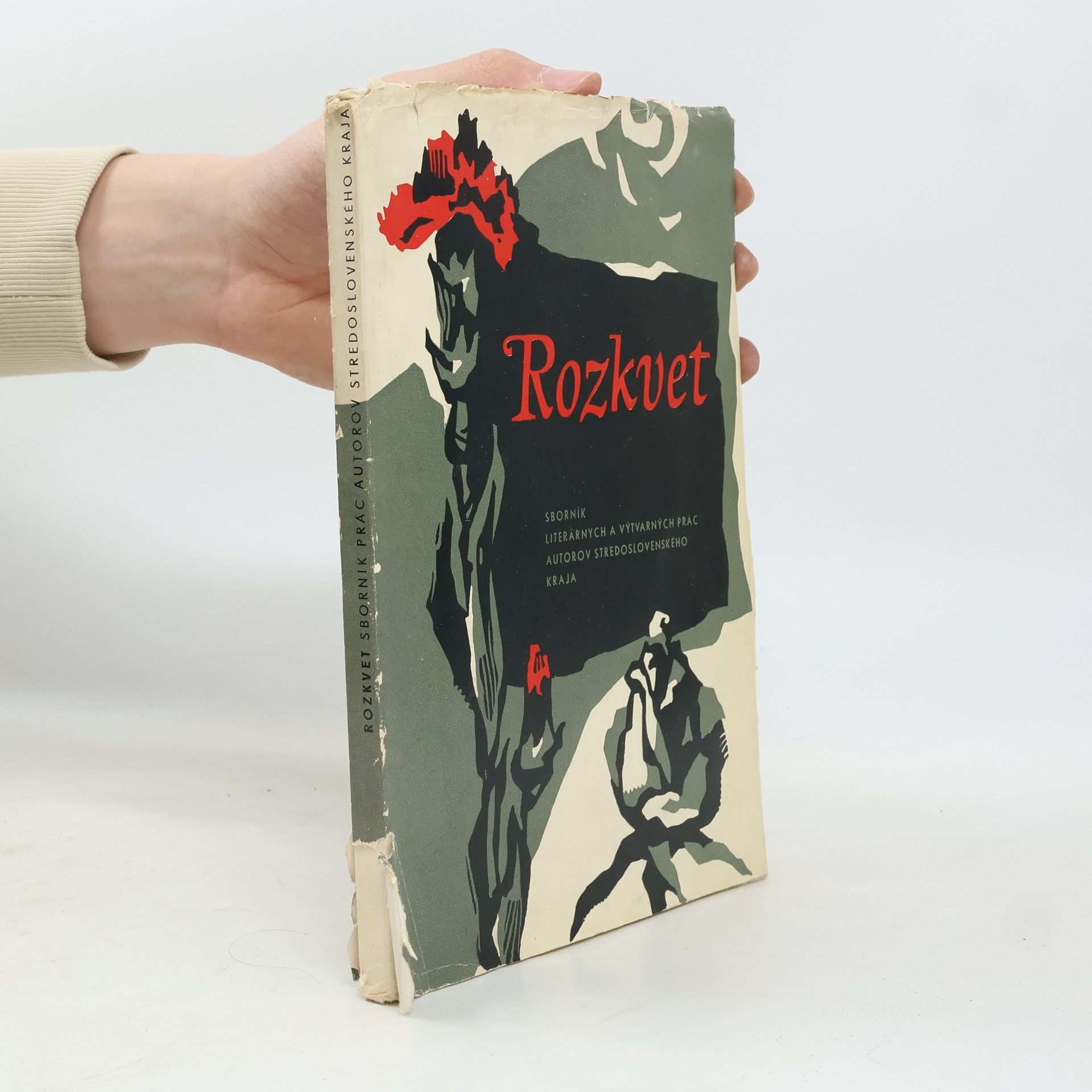 Autorenkollektiv Rozkvet