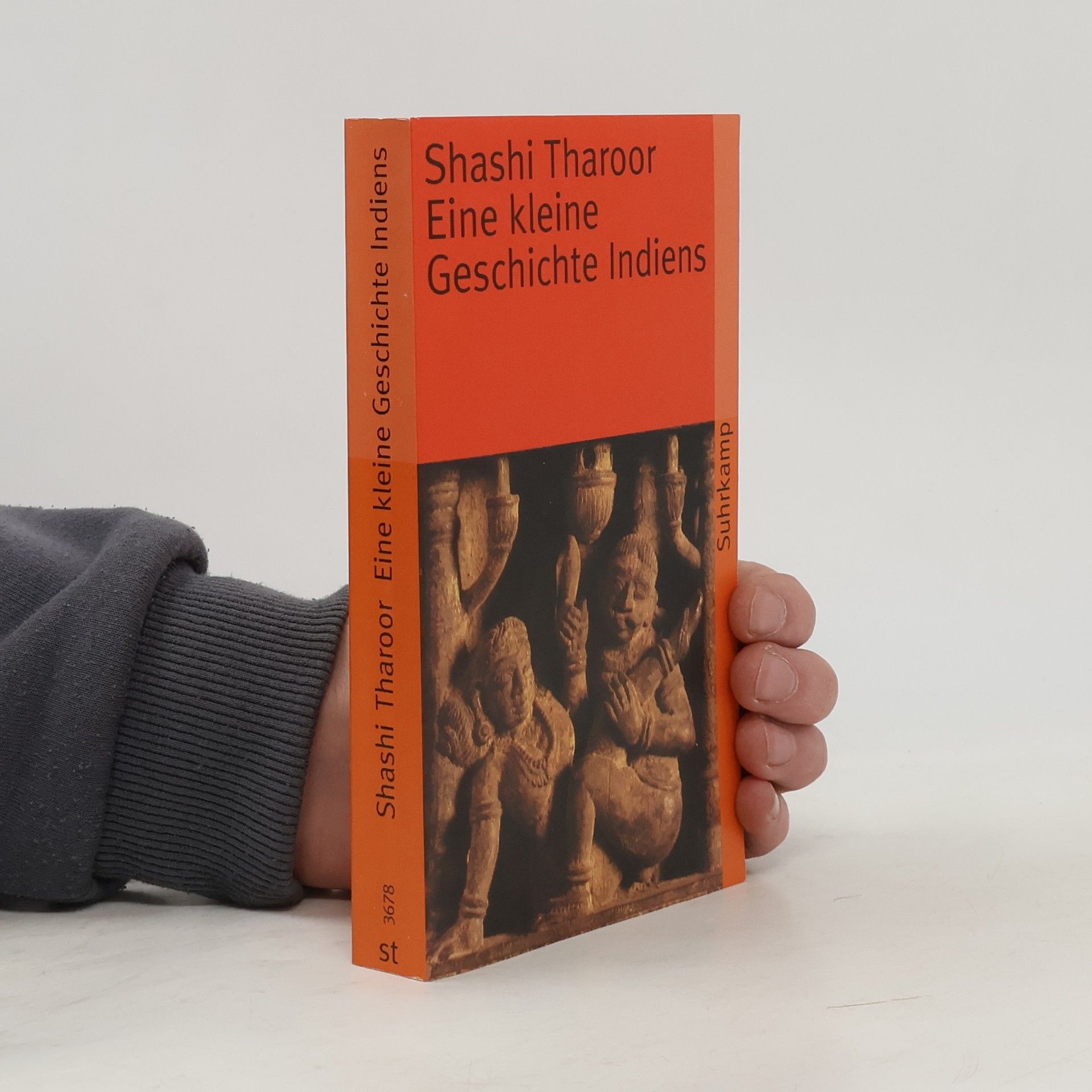 Eine kleine Geschichte Indiens