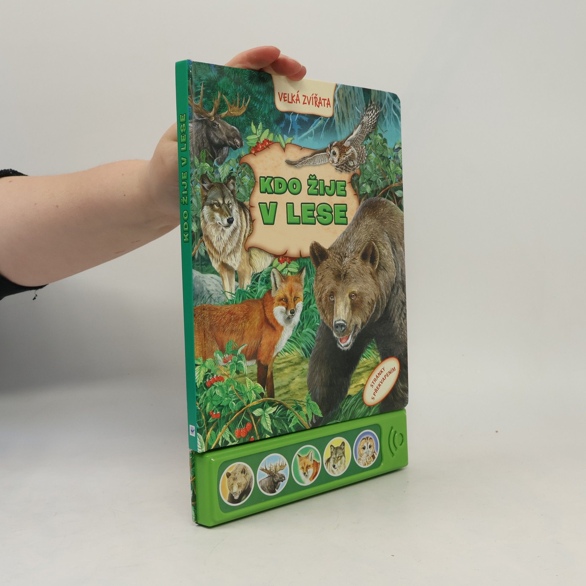 Autorenkollektiv Kdo žije v lese