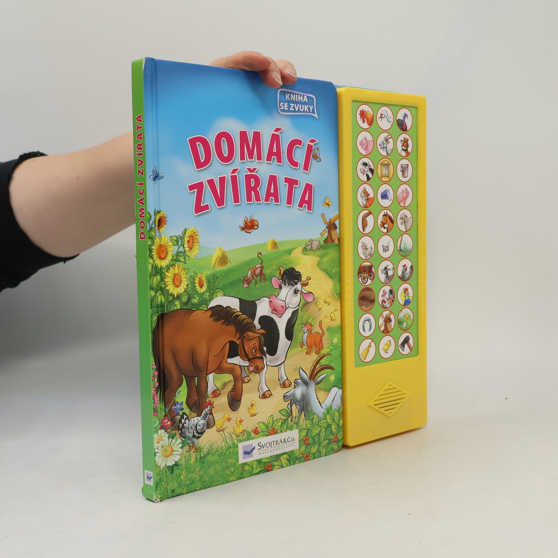 Collectif d'auteurs Domácí zvířata : kniha se zvuky