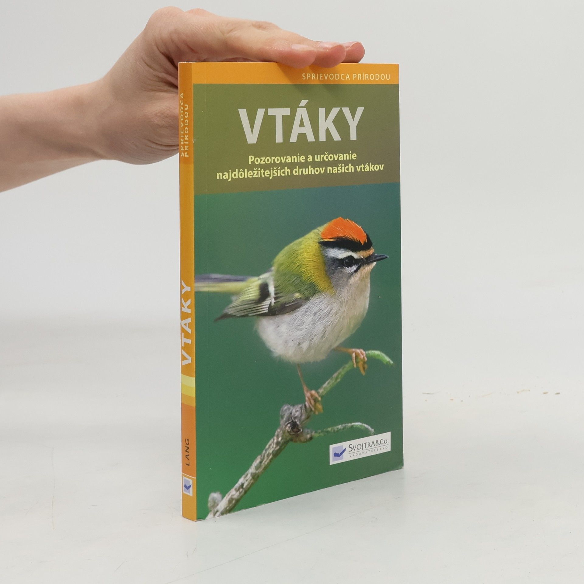 Angelika Lang Vtáky