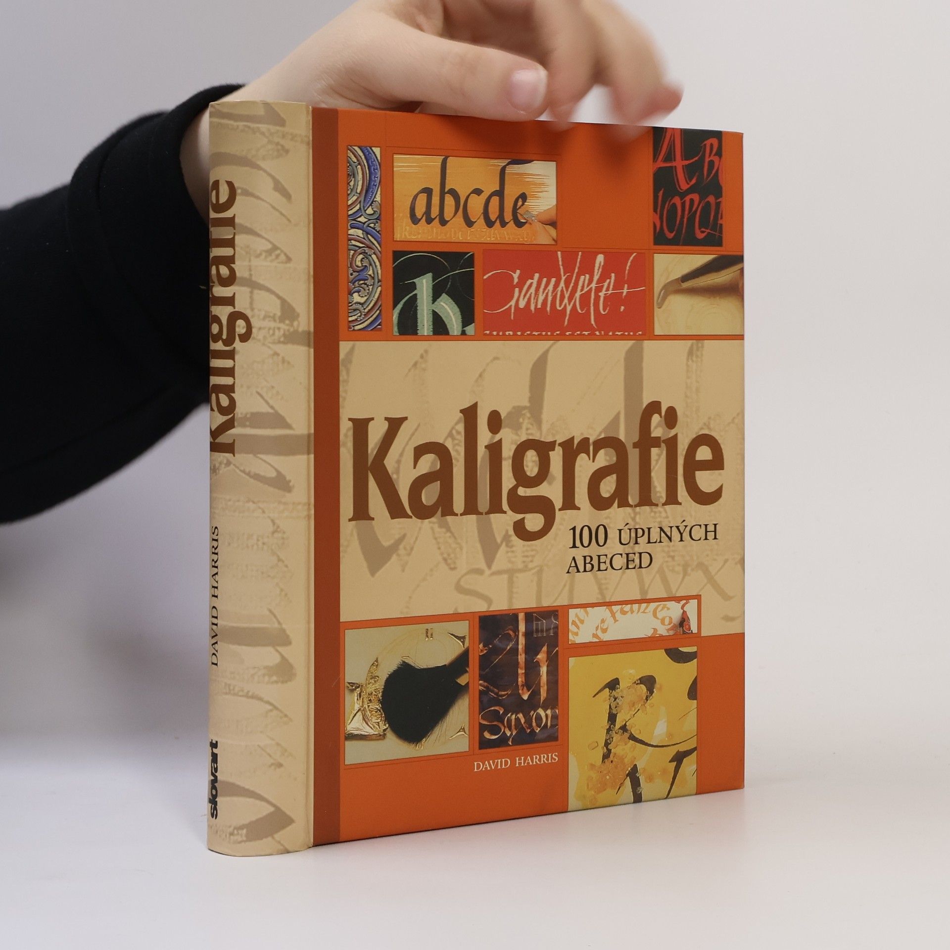 David Harris Kaligrafie : 100 úplných abeced: Podrobný a přehledný průvodce pro každého, kdo by se rád naučil umění krásného psaní