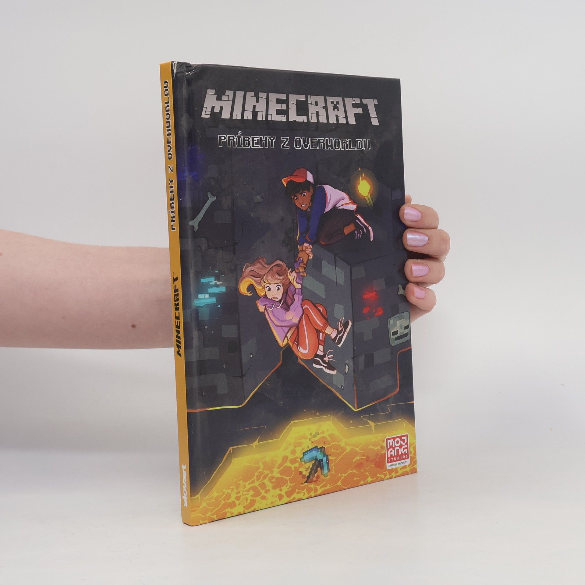 Ian Flynn Minecraft: Príbehy z Overworldu