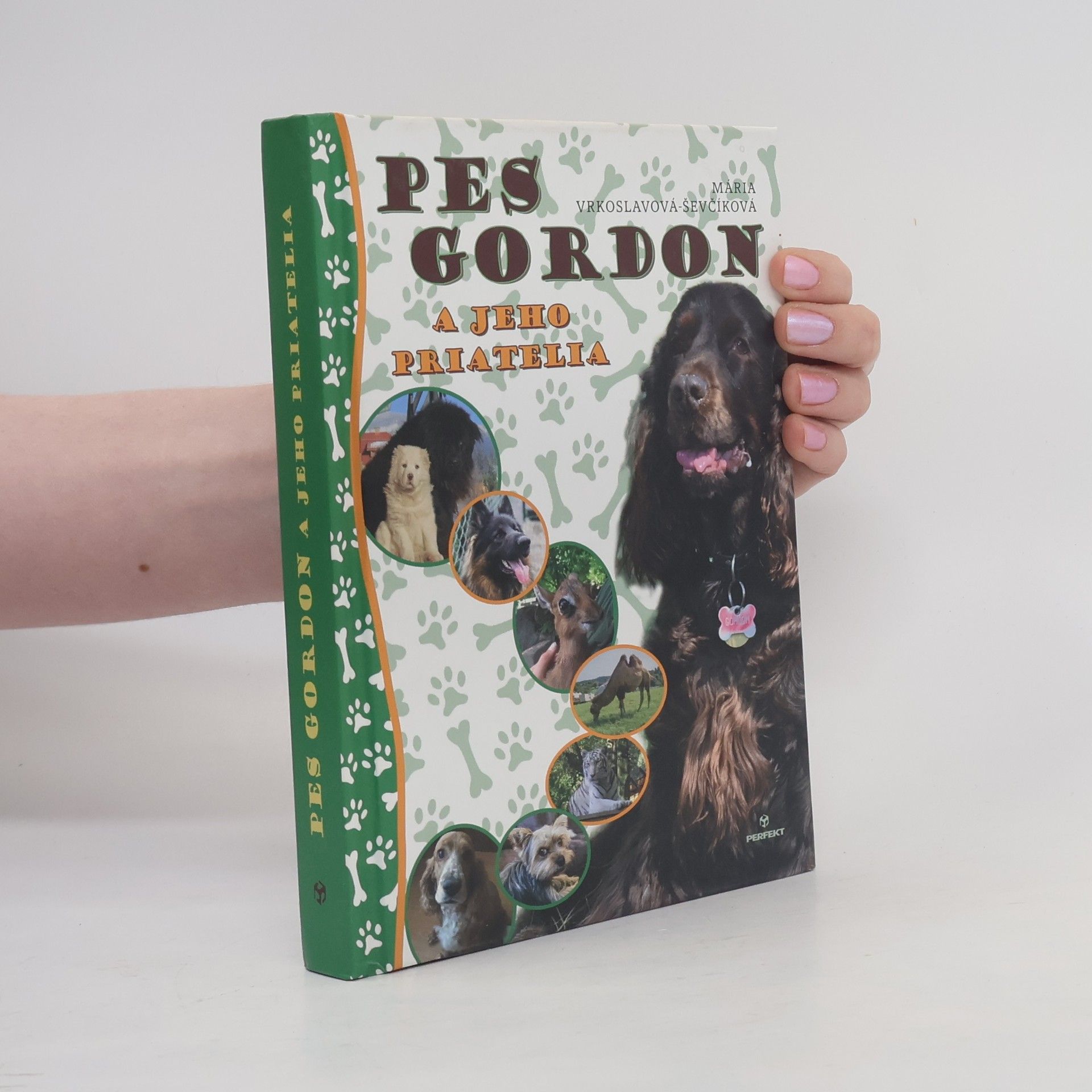 Mária Ševčíková Vrkoslavov Pes Gordon a jeho priatelia