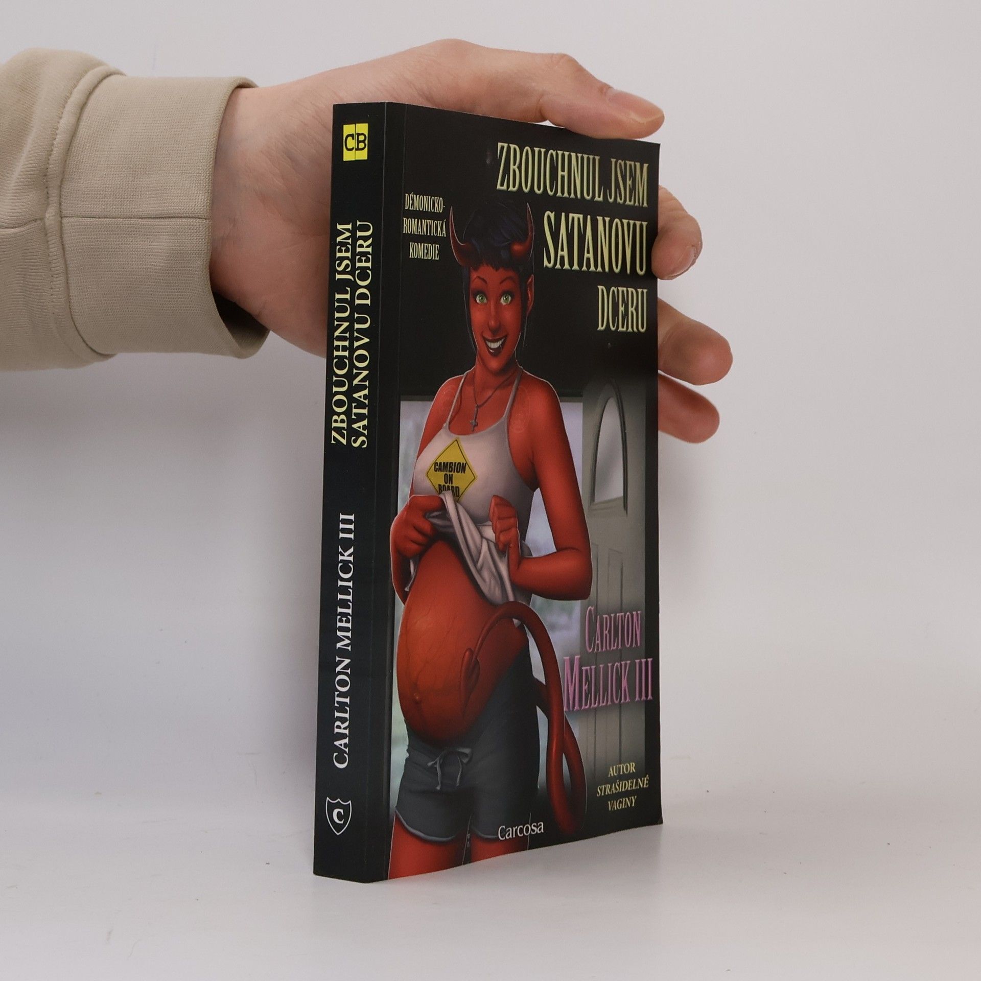 Zbouchnul jsem Satanovu dceru: Démonicko-romantická komedie