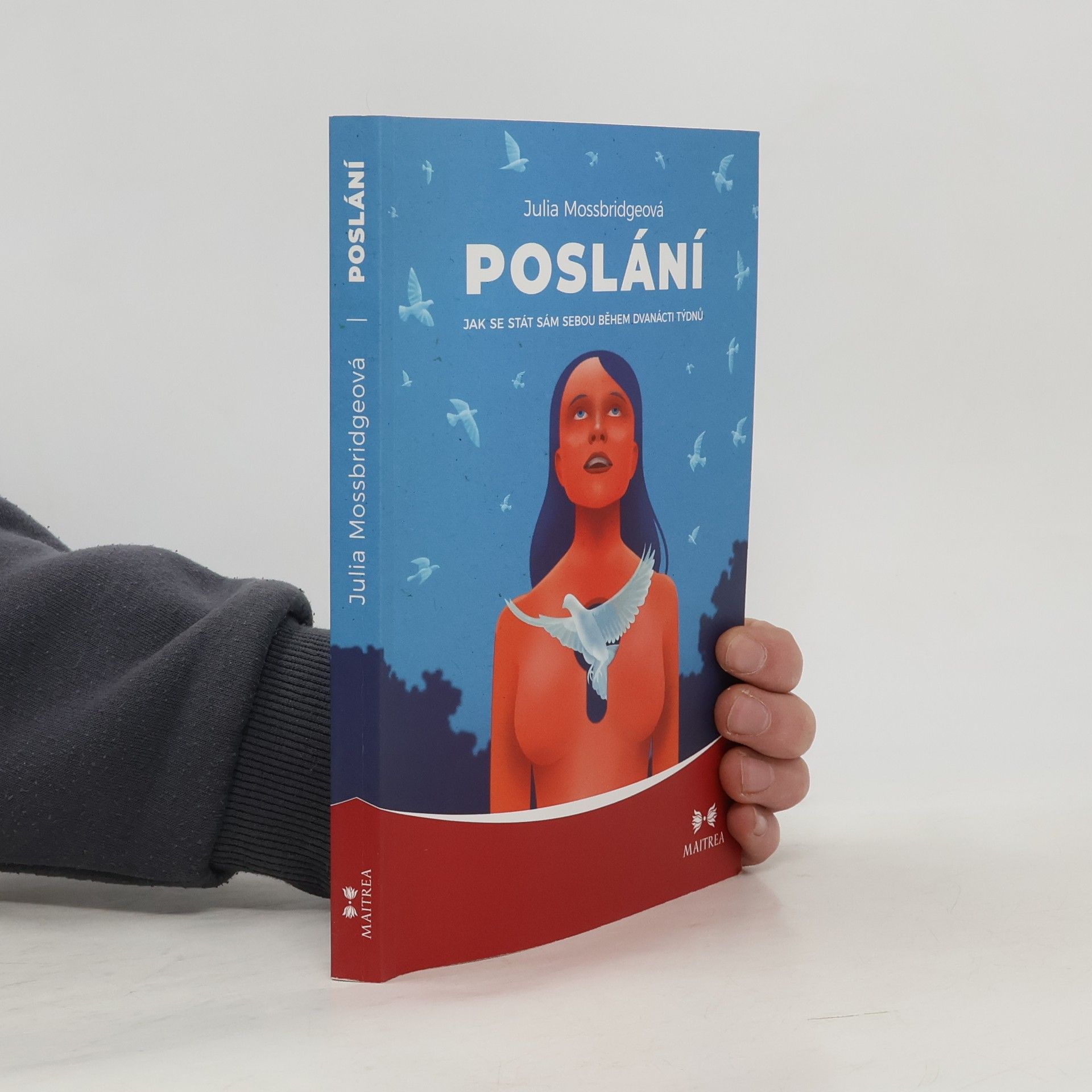 Poslání : jak se stát sám sebou během dvanácti týdnů