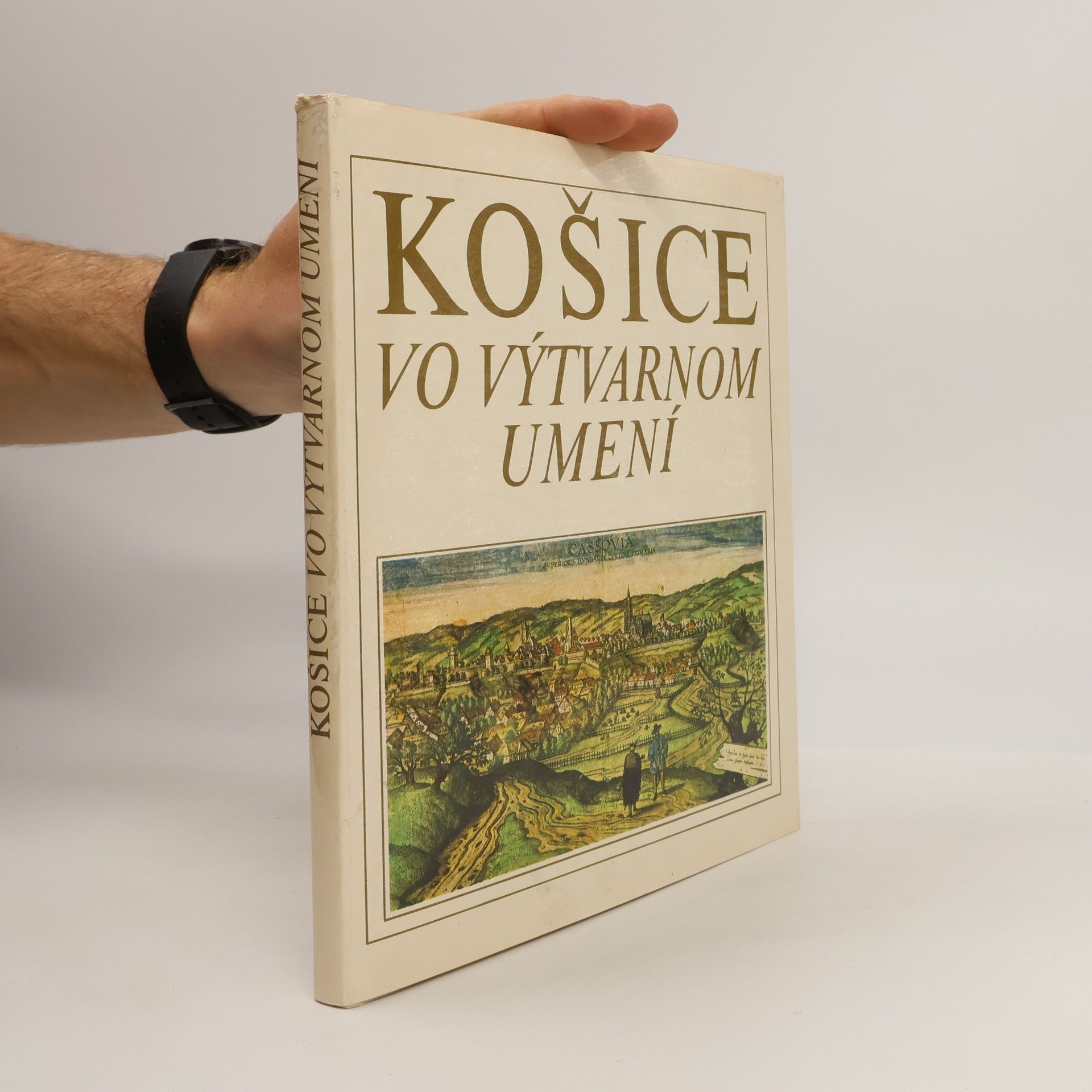 Košice ve výtvarnom umení