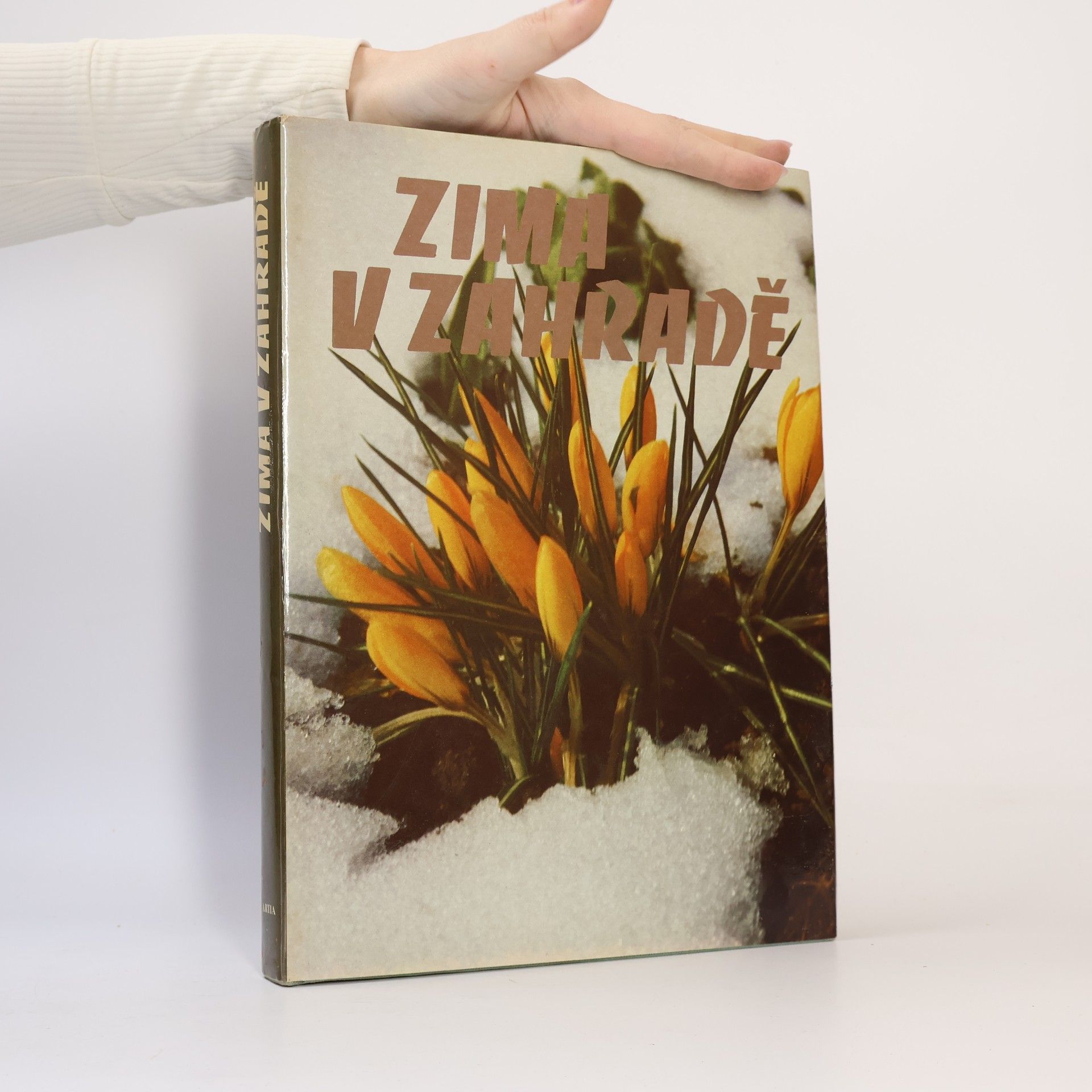 Various authors Zima v zahradě