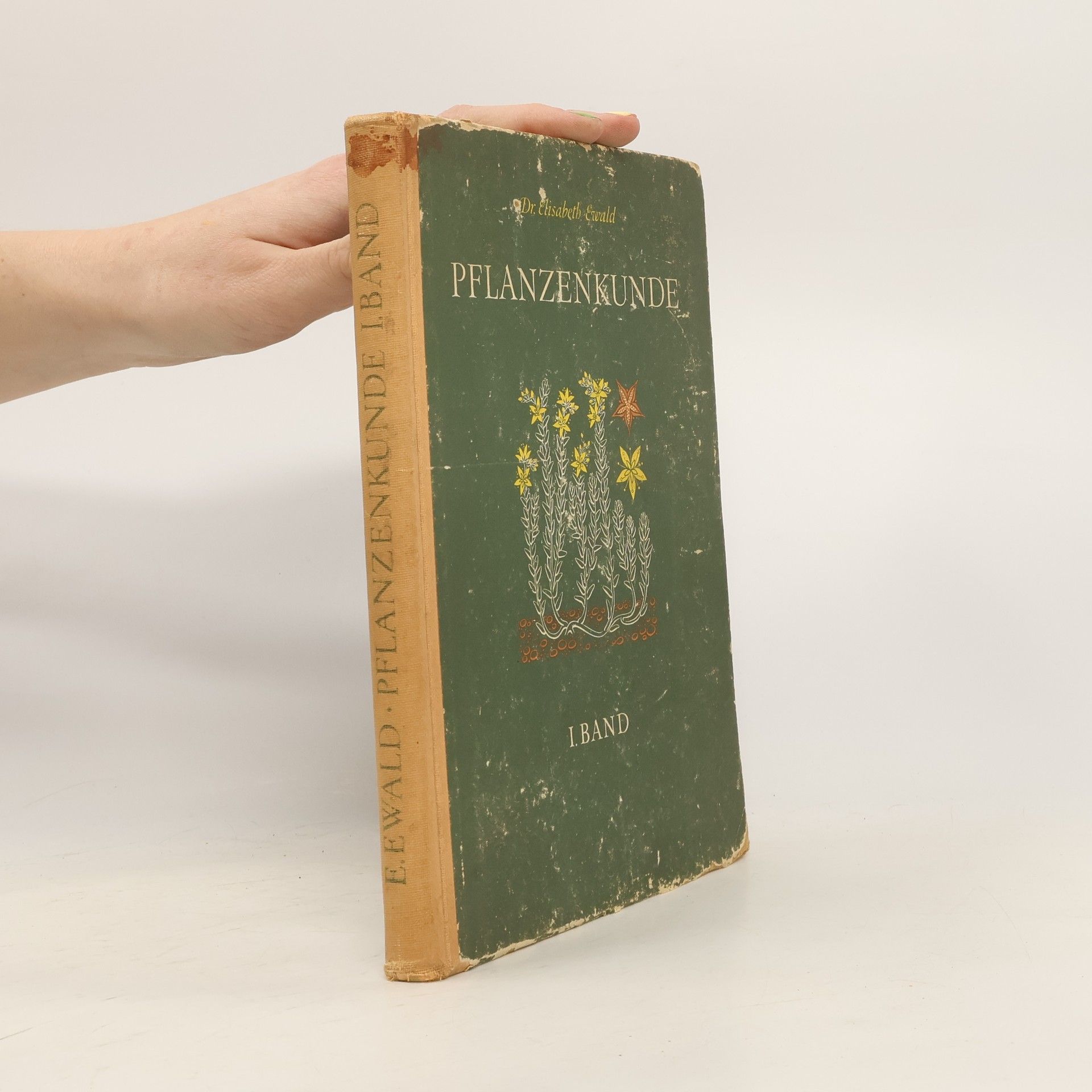 Elisabeth Ewald Pflanzenkunde I