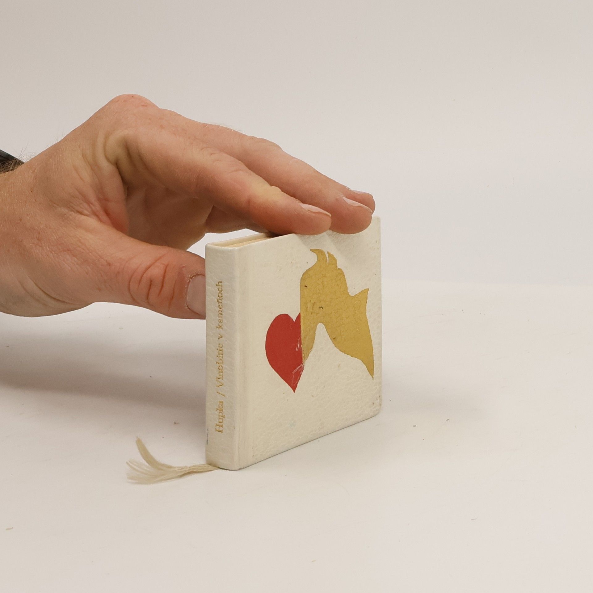 Gustáv Hupka Vlnobitie v Kameňoch