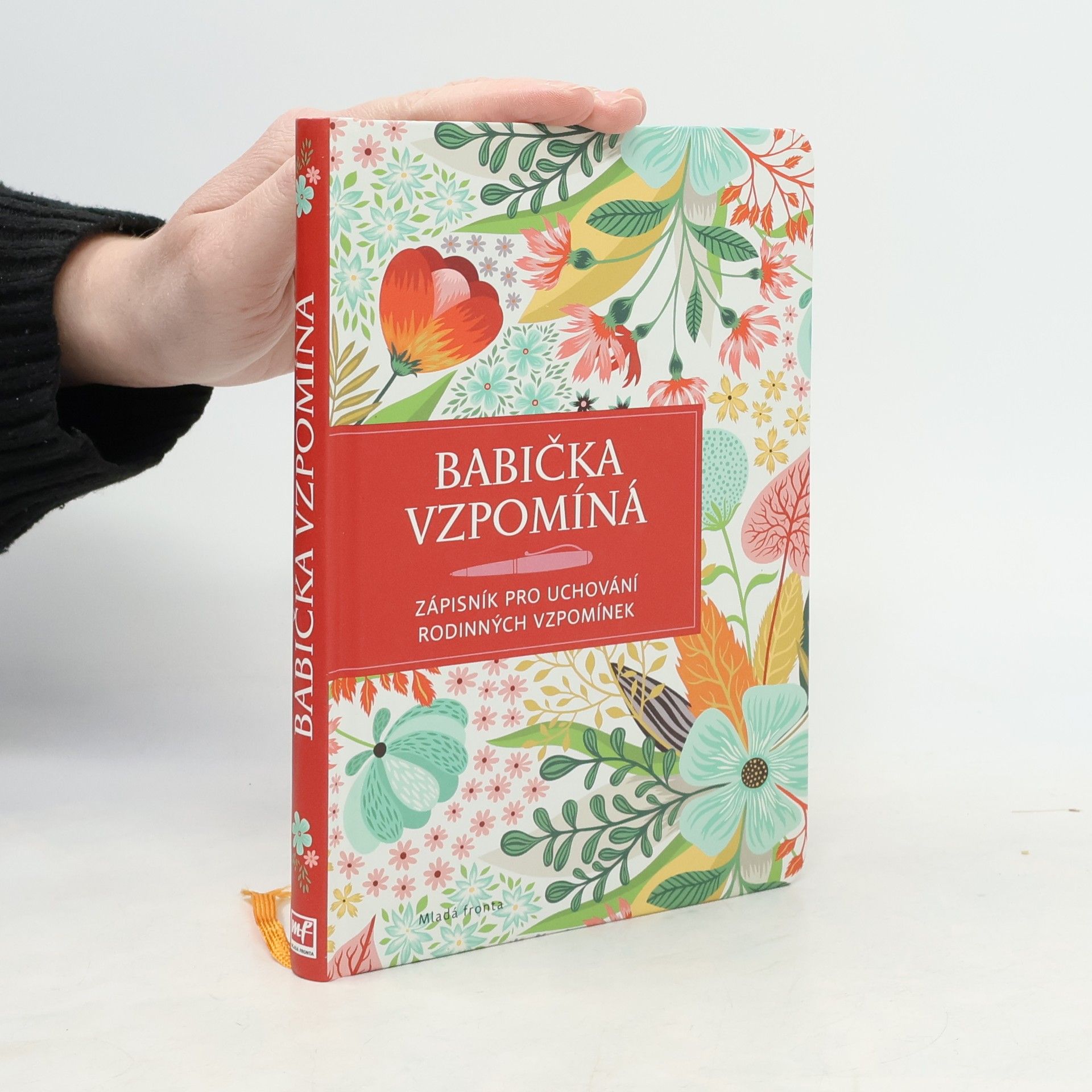 Kolektiv autorů Babička vzpomíná - Babiččiny zápisky celé rodině na památku