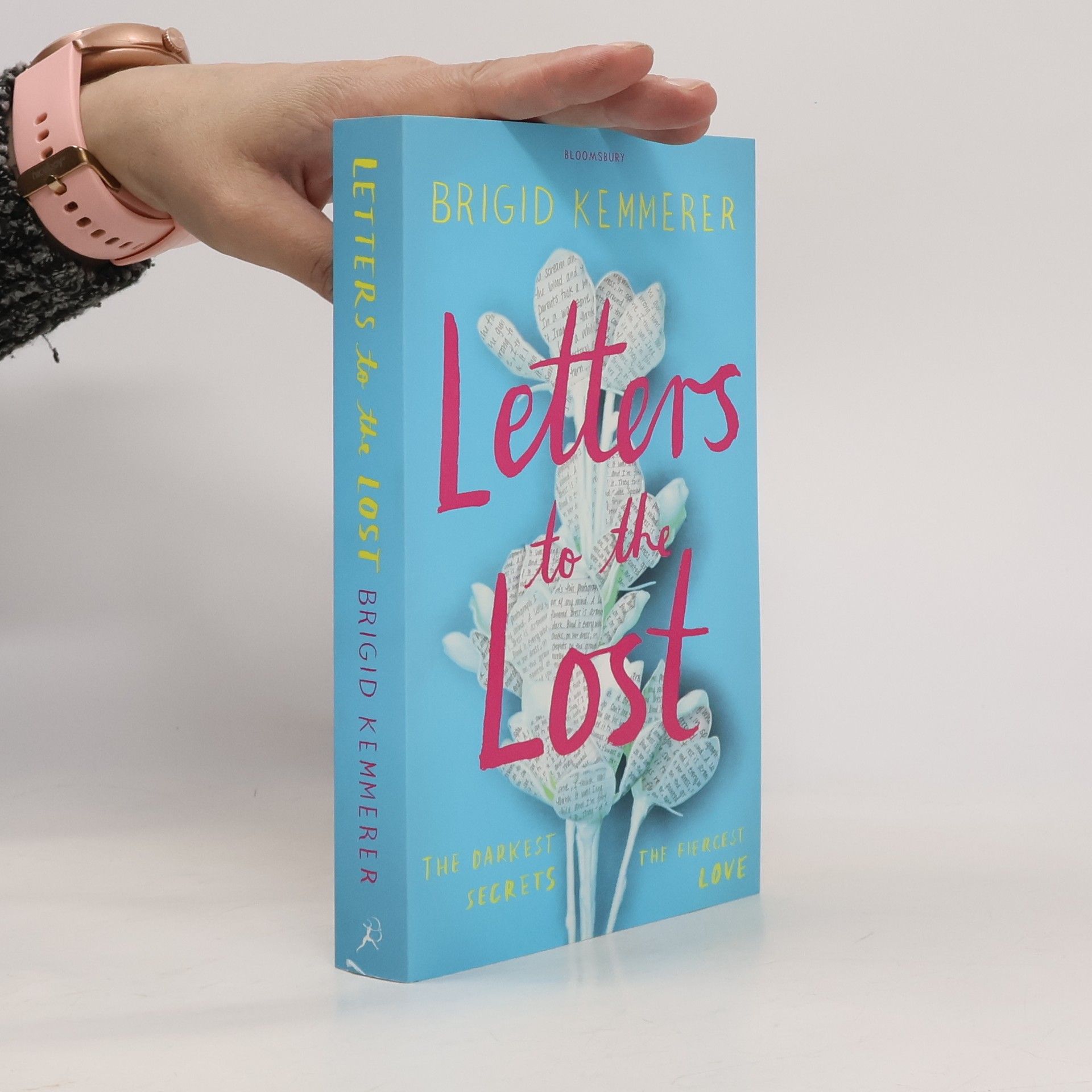 Brigid Kemmerer Letters to the Lost