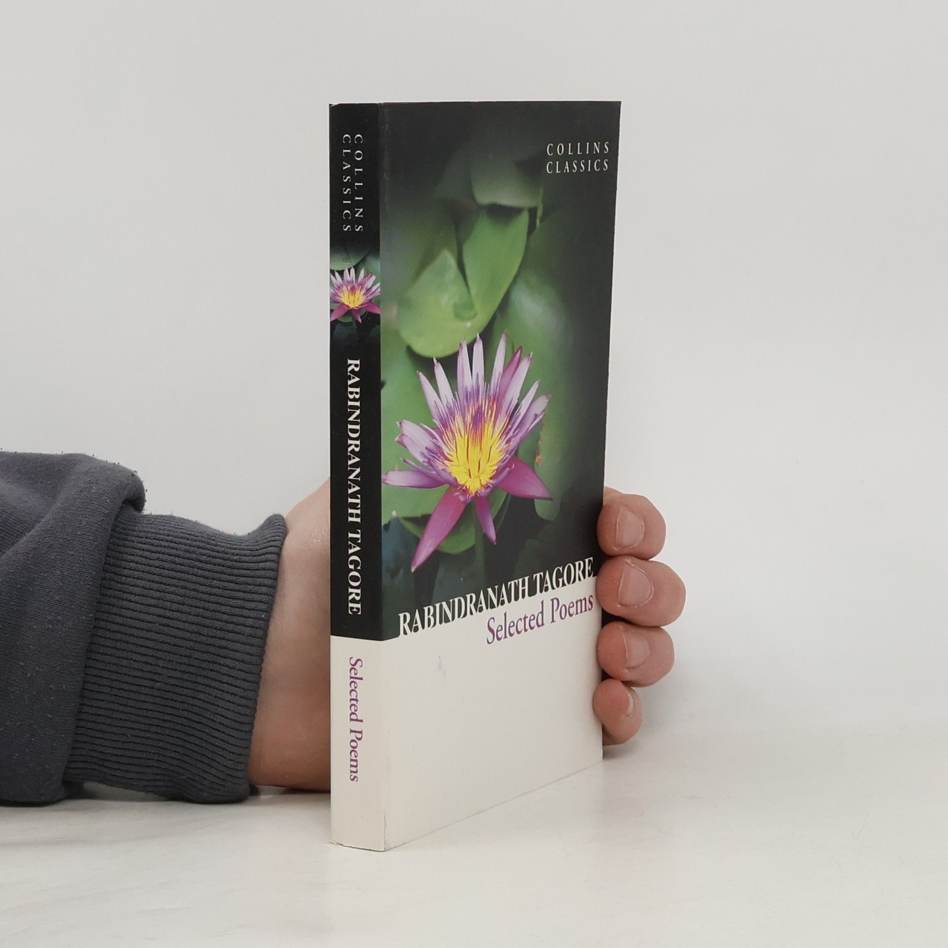 Rabíndranáth Thákur Selected Poems