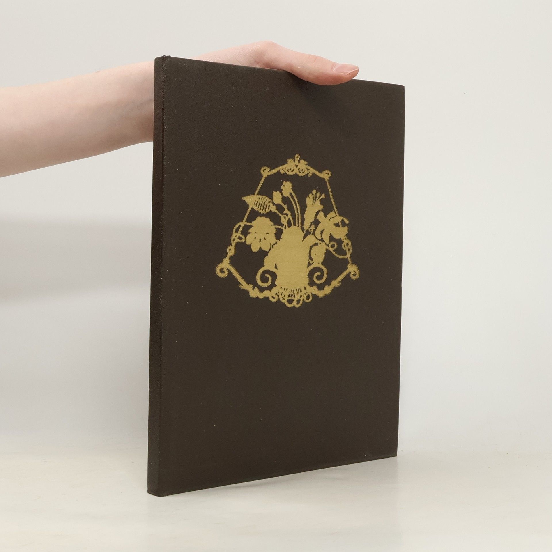 Lucjan Święcki Warszawskie Stare Miasto