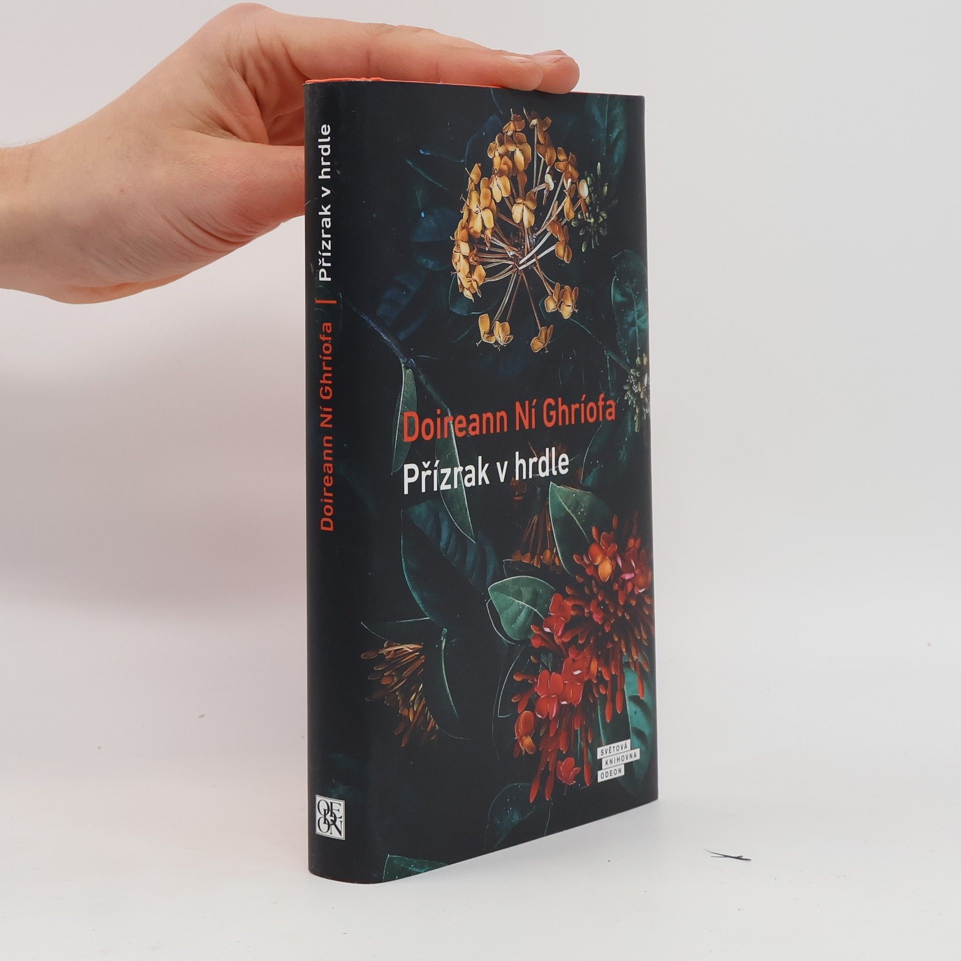 Doireann Ní Ghríofa Přízrak v hrdle