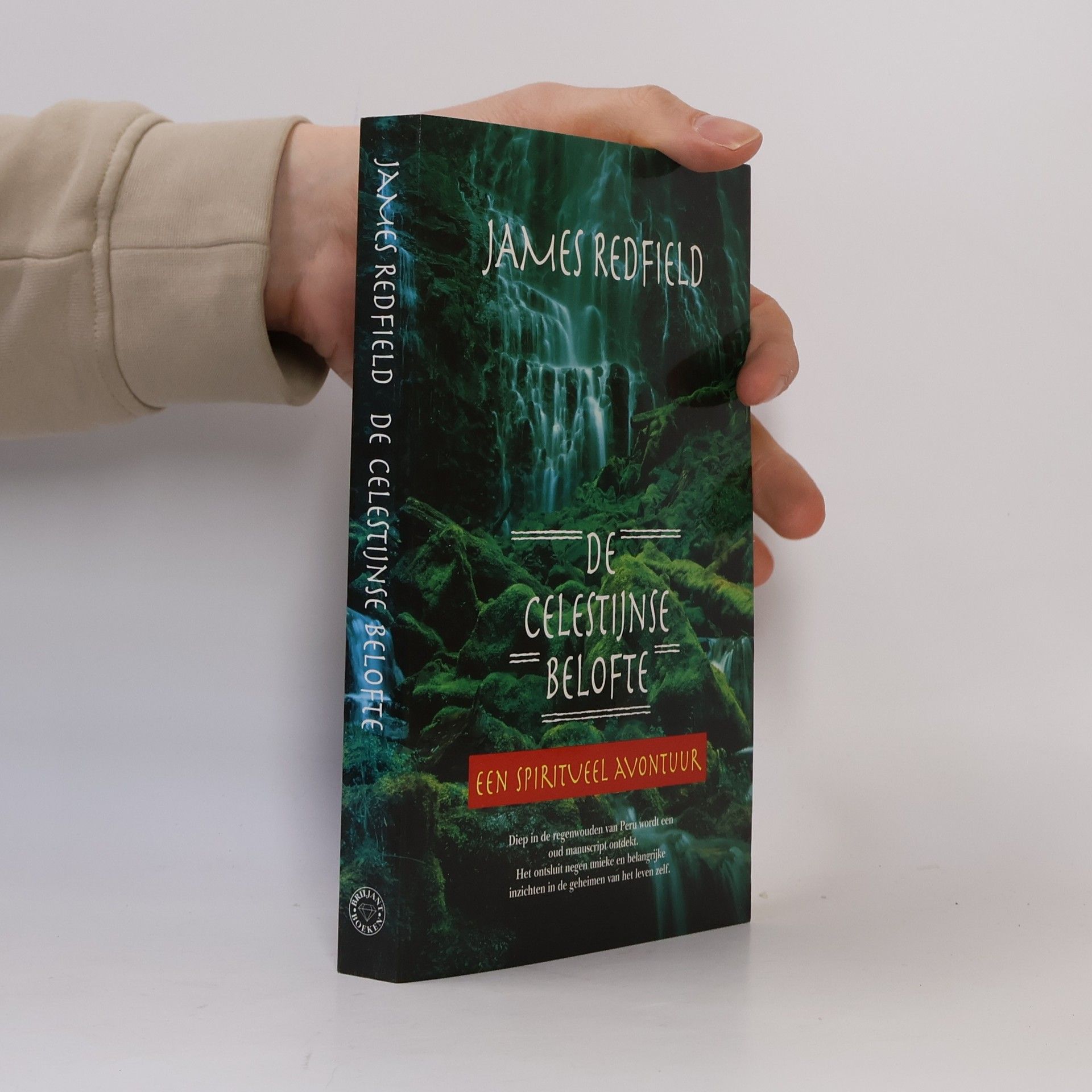 De Celestijnse belofte