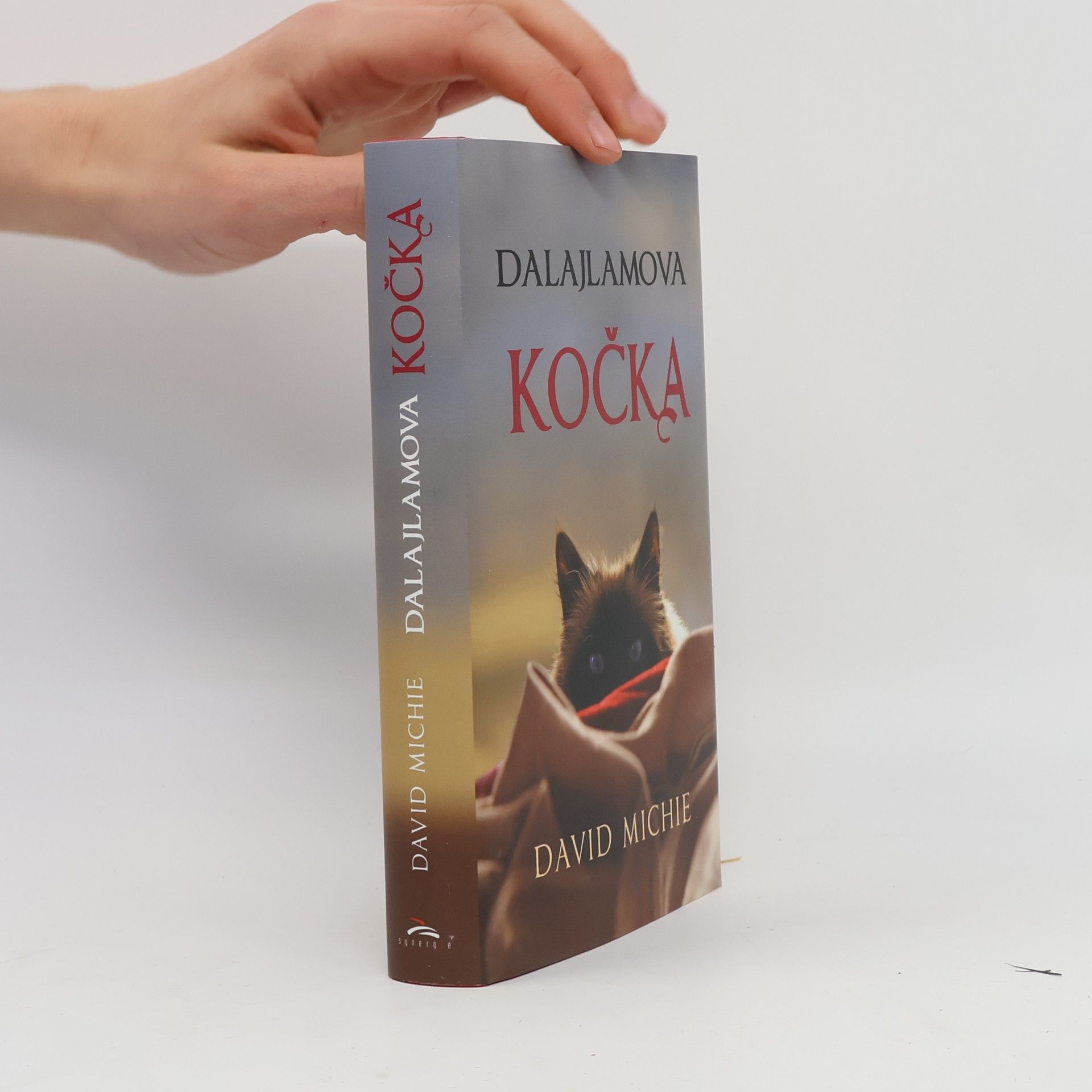 David Michie Dalajlamova kočka