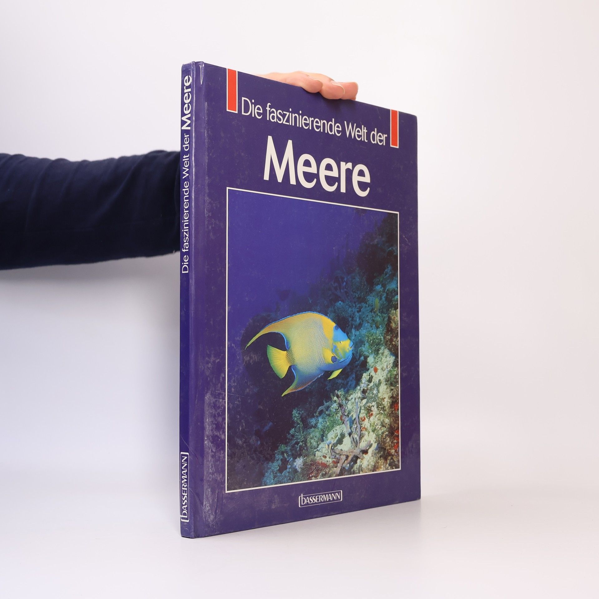 Kolektiv autorů Die faszinierende Welt der Meere