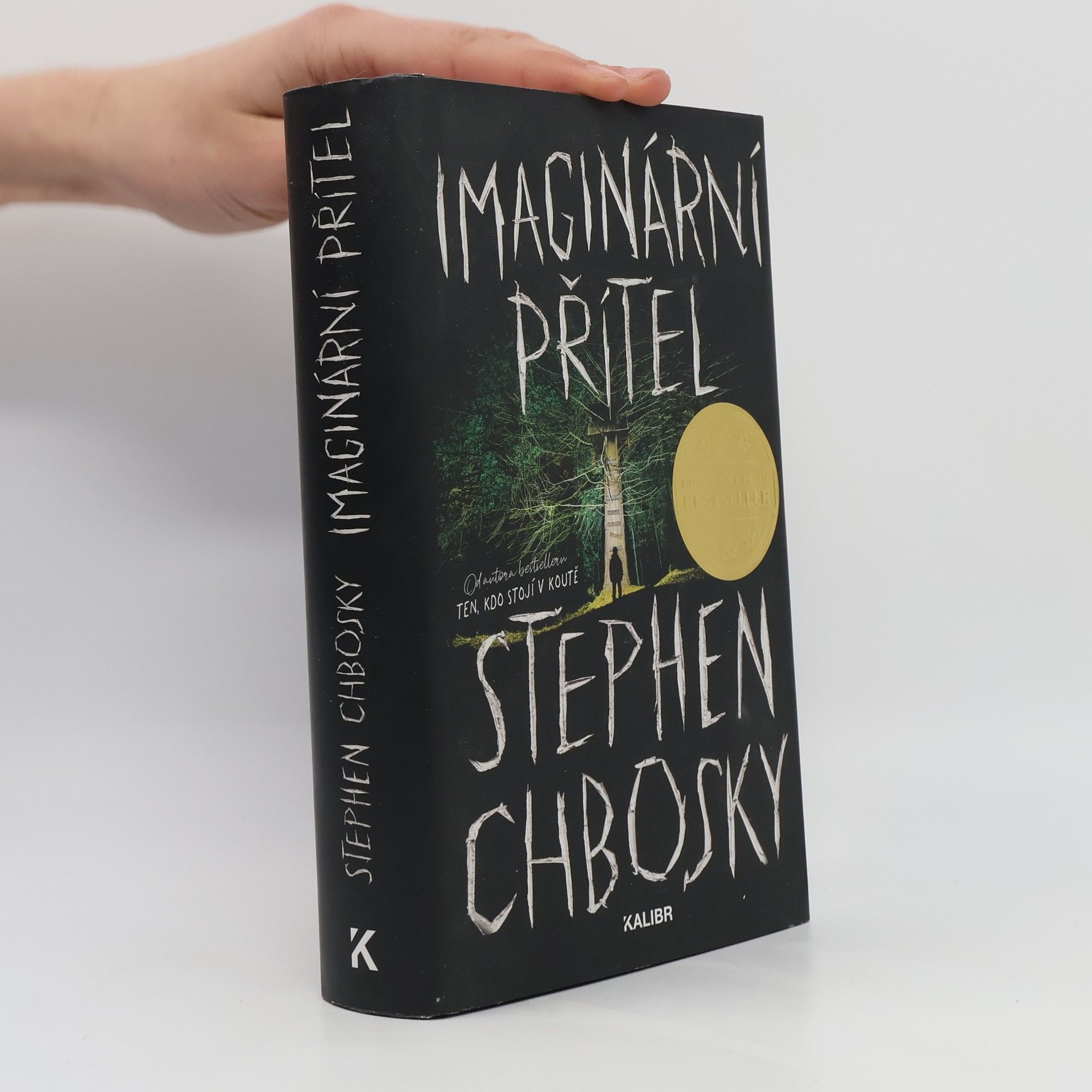 Stephen Chbosky Imaginární přítel