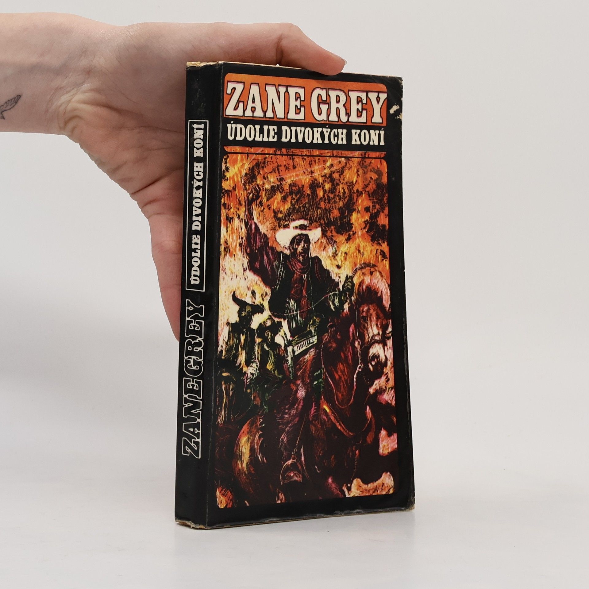 Zane Grey Údolie divokých koní