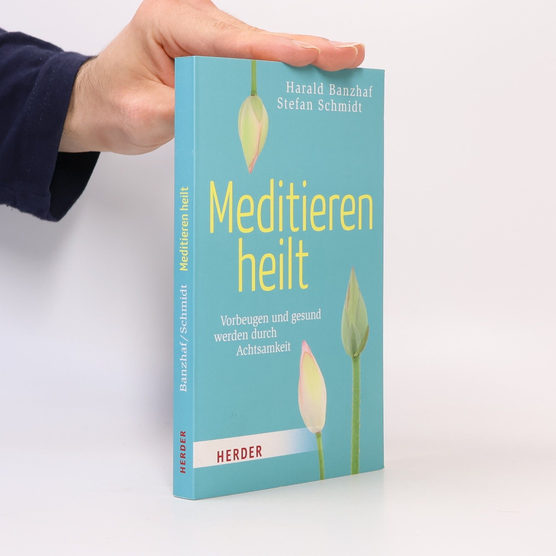 Harald Banzhaf Meditieren heilt
