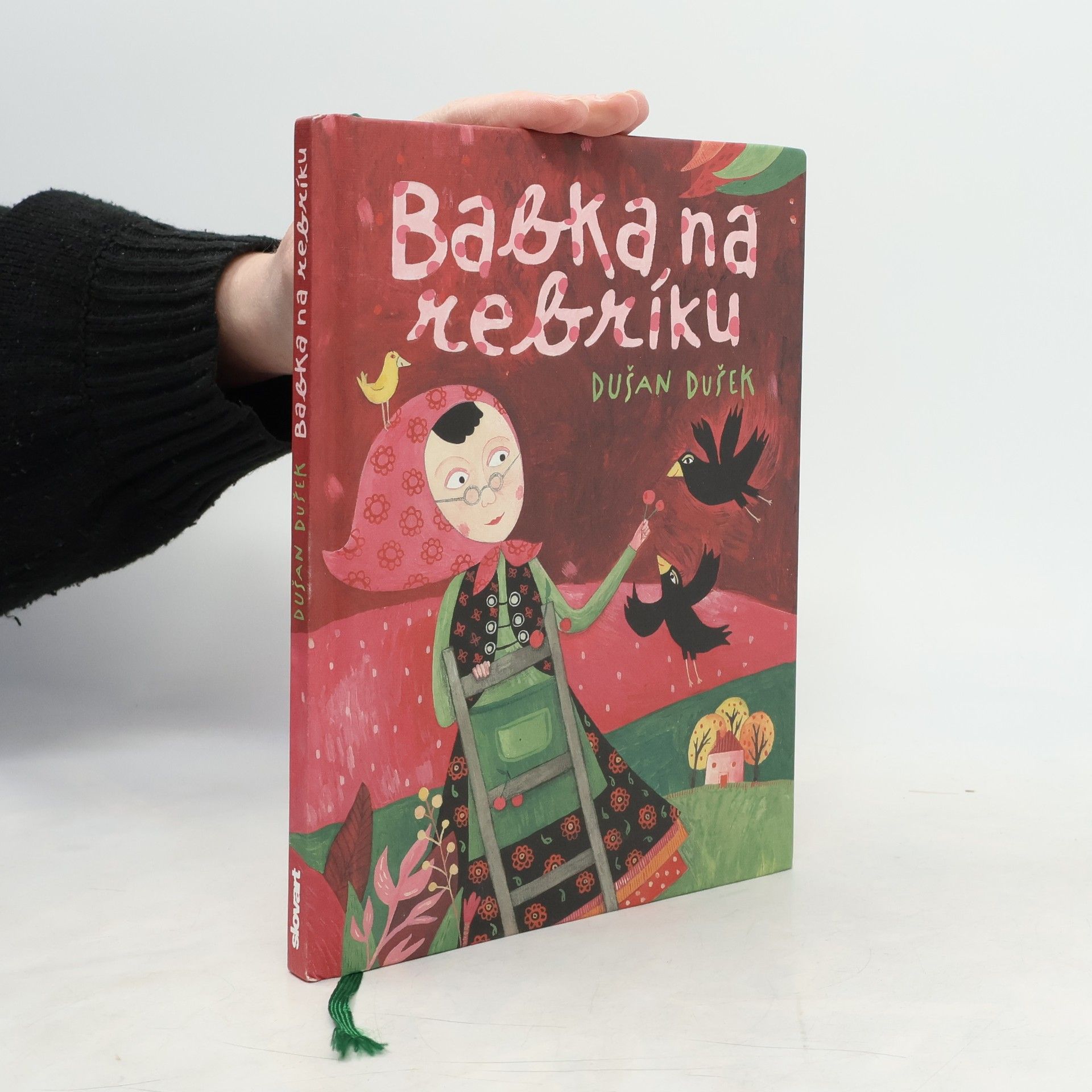 Dušan Dušek Babka na rebríku