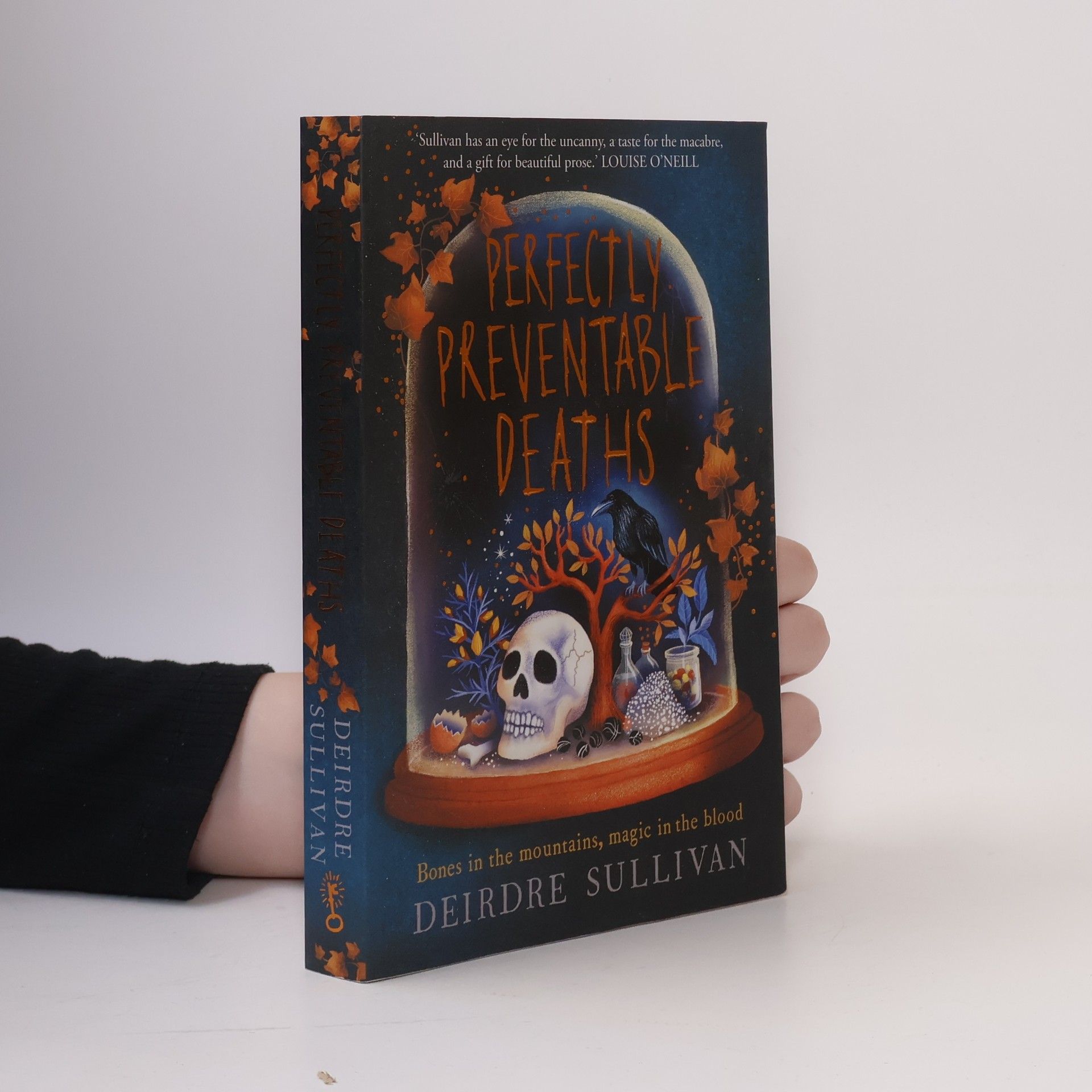 Deirdre Sullivan Perfectly Preventable Deaths